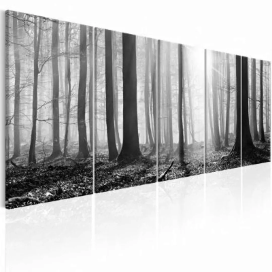 artgeist Wandbild Monochrome Forest schwarz/weiß Gr. 200 x 80 günstig online kaufen