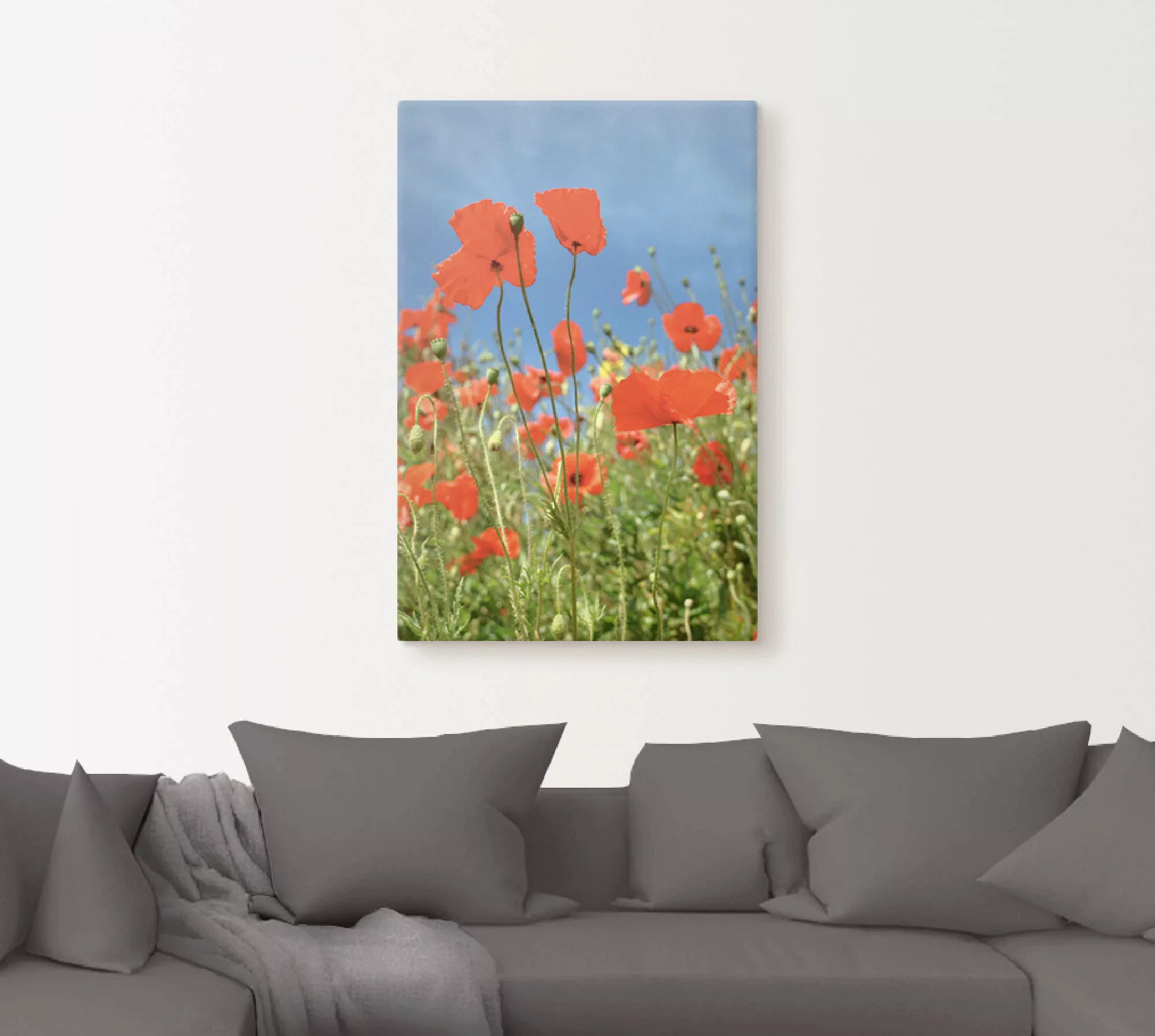 Artland Leinwandbild "Feld mit rotem Klatschmohn", Blumen, (1 St.), auf Kei günstig online kaufen