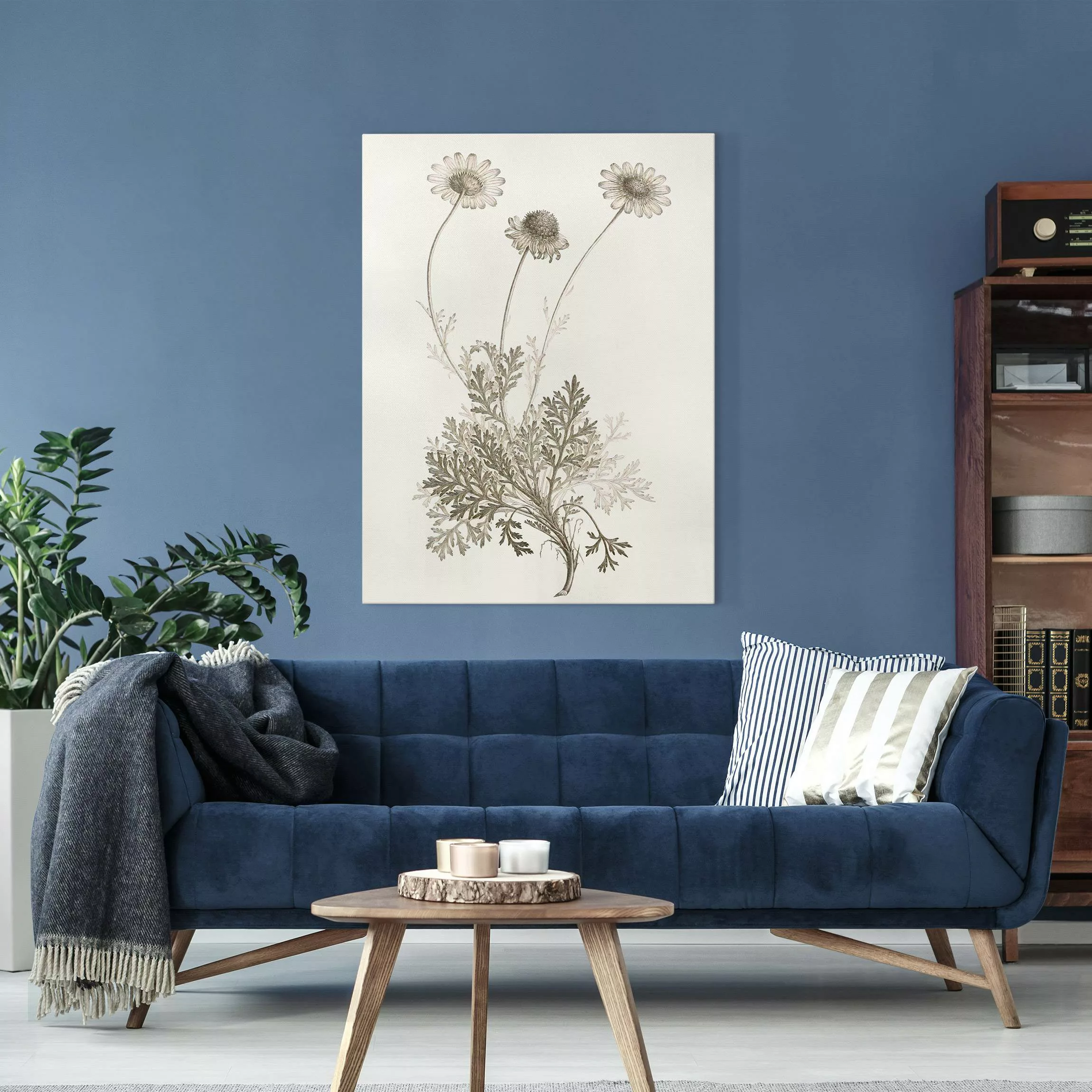 Leinwandbild Botanische Studie in Sepia III günstig online kaufen