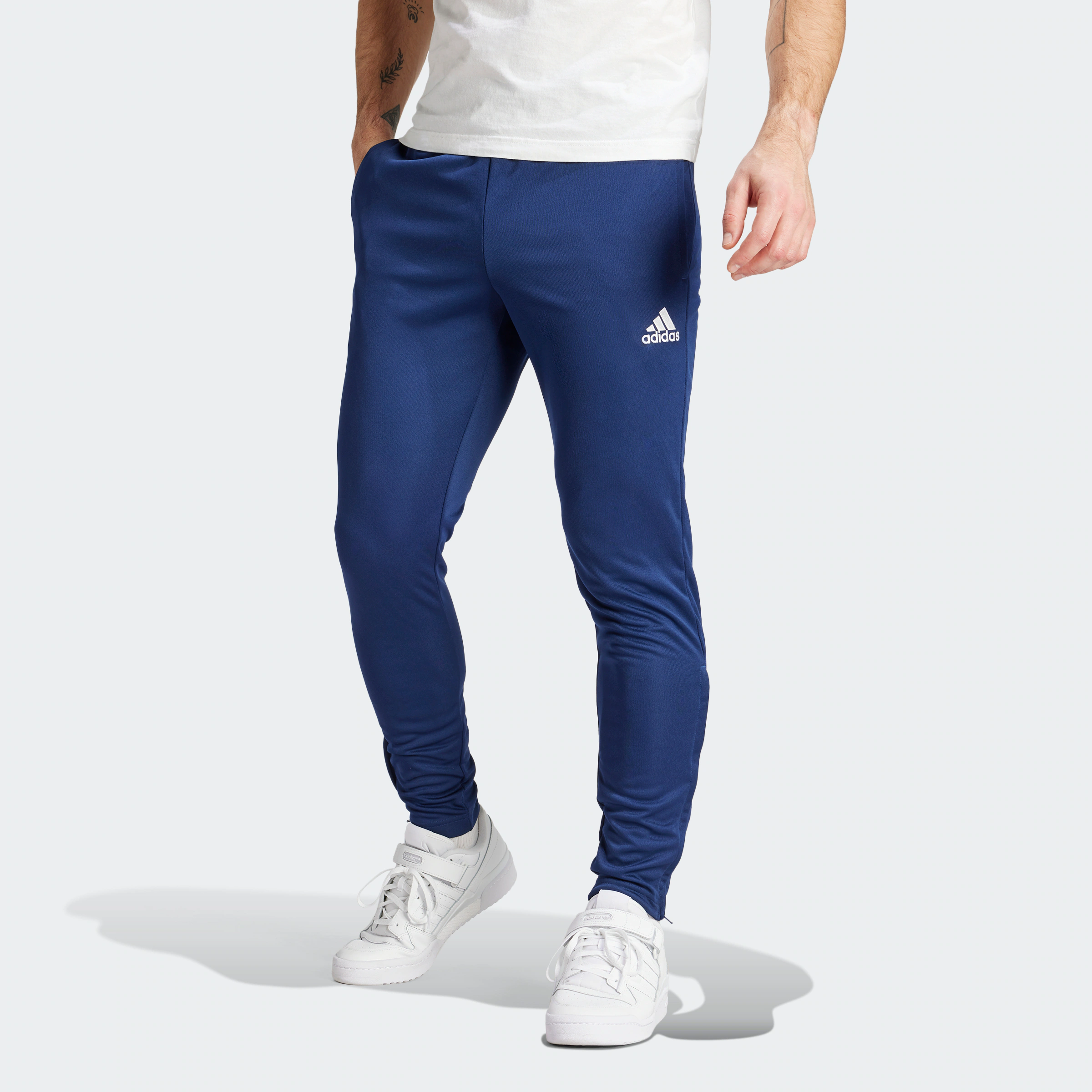 adidas Performance Trainingshose "ENT22 TR PNT", (1 tlg.) günstig online kaufen