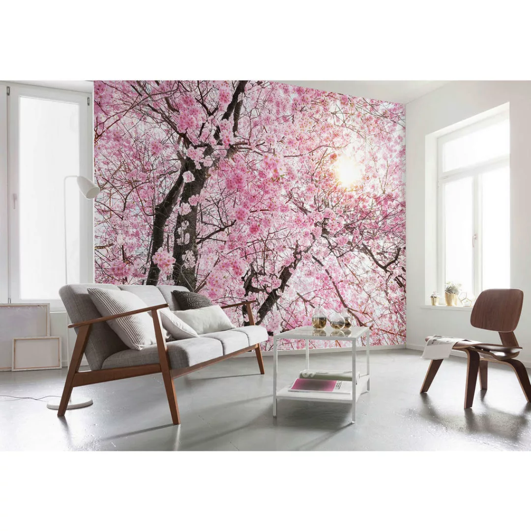 KOMAR Vlies Fototapete - Bloom - Größe 400 x 260 cm mehrfarbig günstig online kaufen
