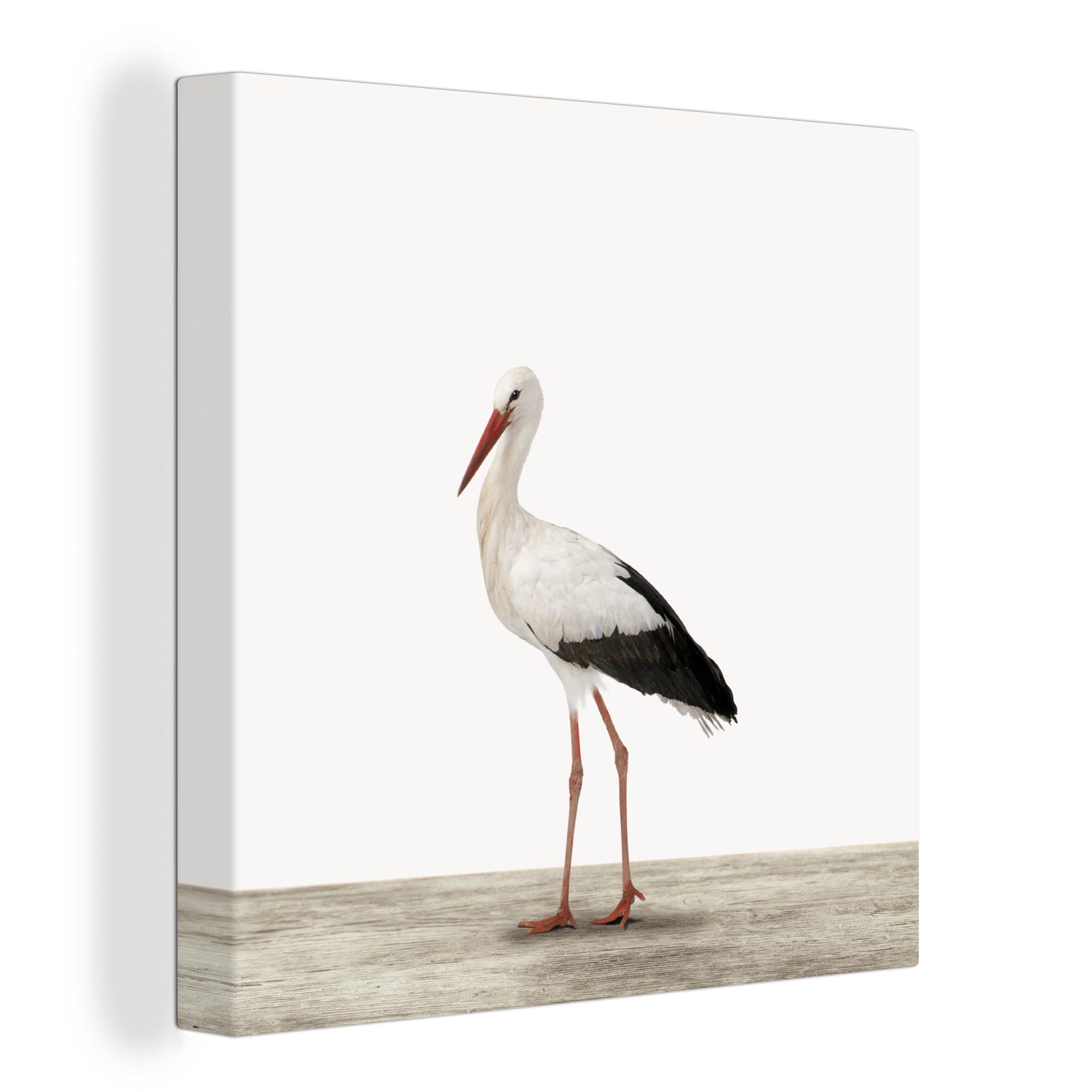 OneMillionCanvasses® Leinwandbild Storch - Vogel - günstig online kaufen