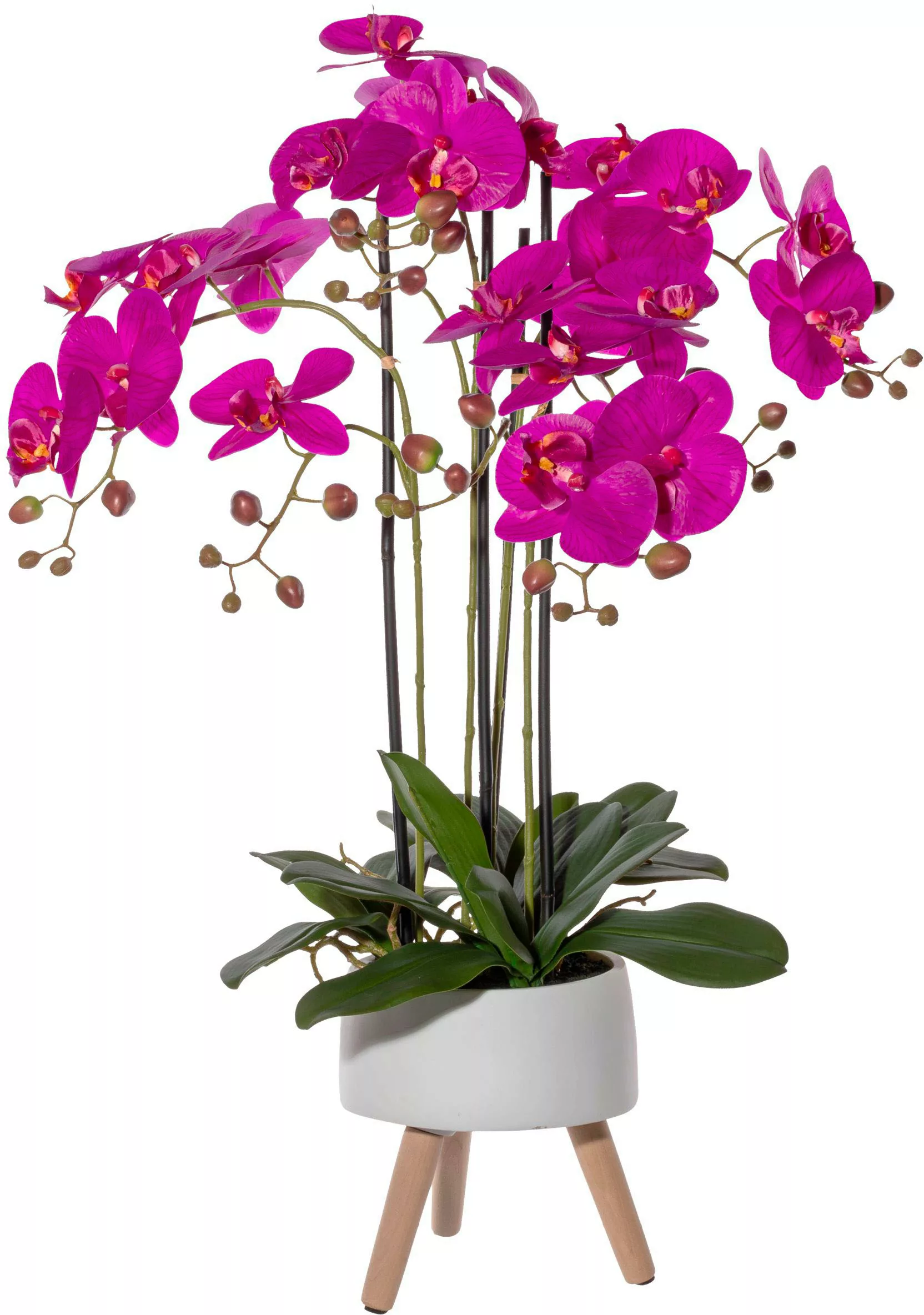 Creativ green Kunstorchidee "Orchidee Phalaenopsis in Keramikschale", mit R günstig online kaufen