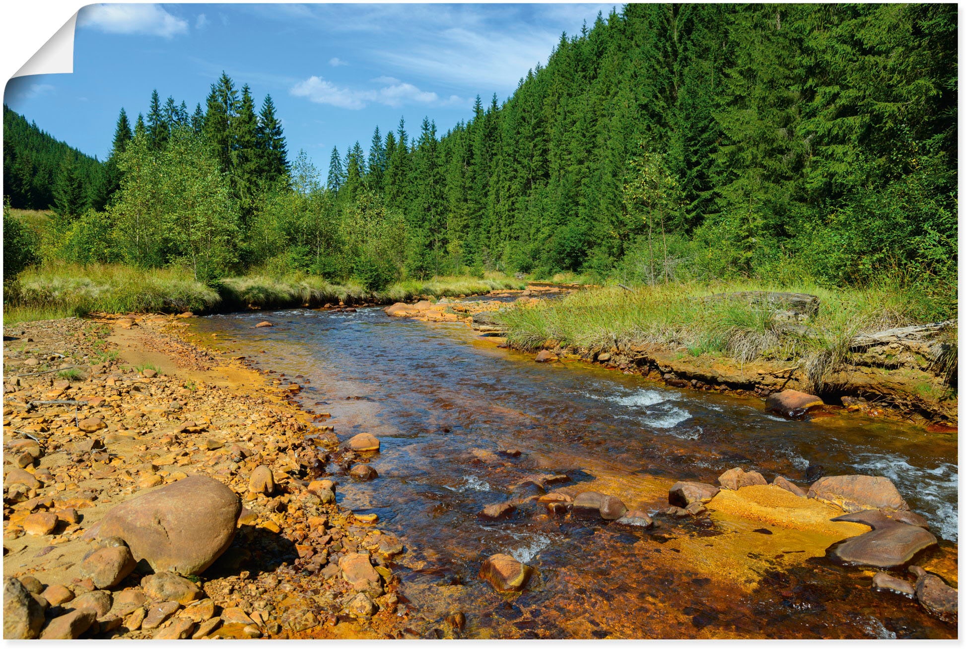 Artland Wandbild »Fluss Neagra, Caliman-Nationalpark«, Gewässer, (1 St.), a günstig online kaufen