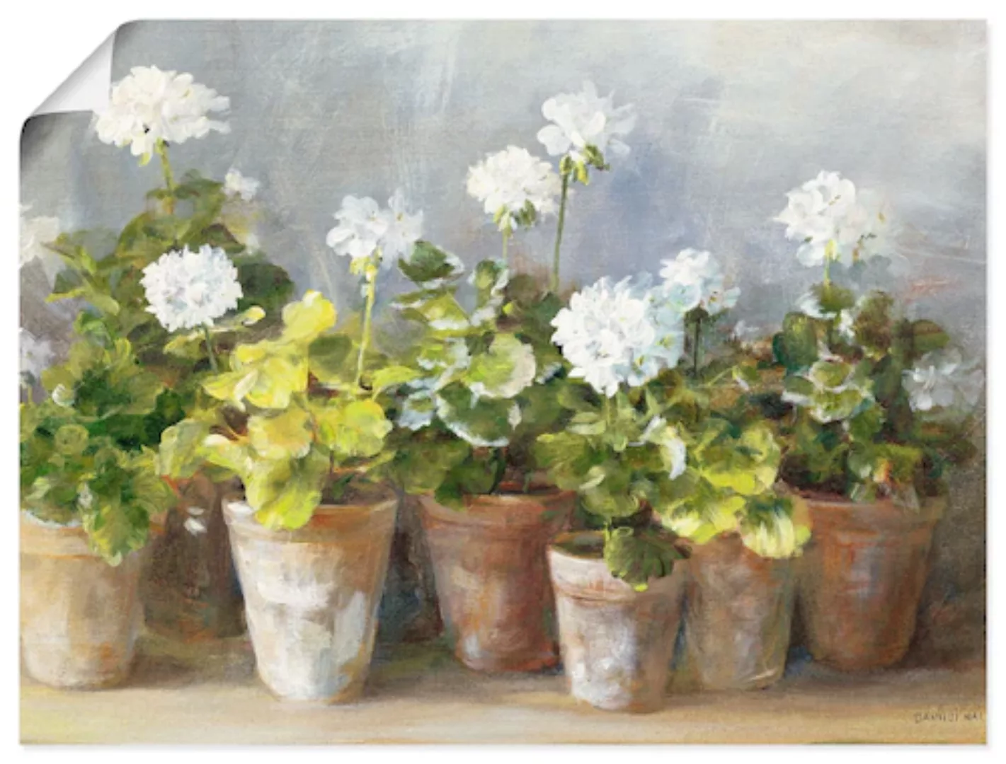 Artland Wandbild "Weiße Geranien", Blumen, (1 St.), als Leinwandbild, Poste günstig online kaufen