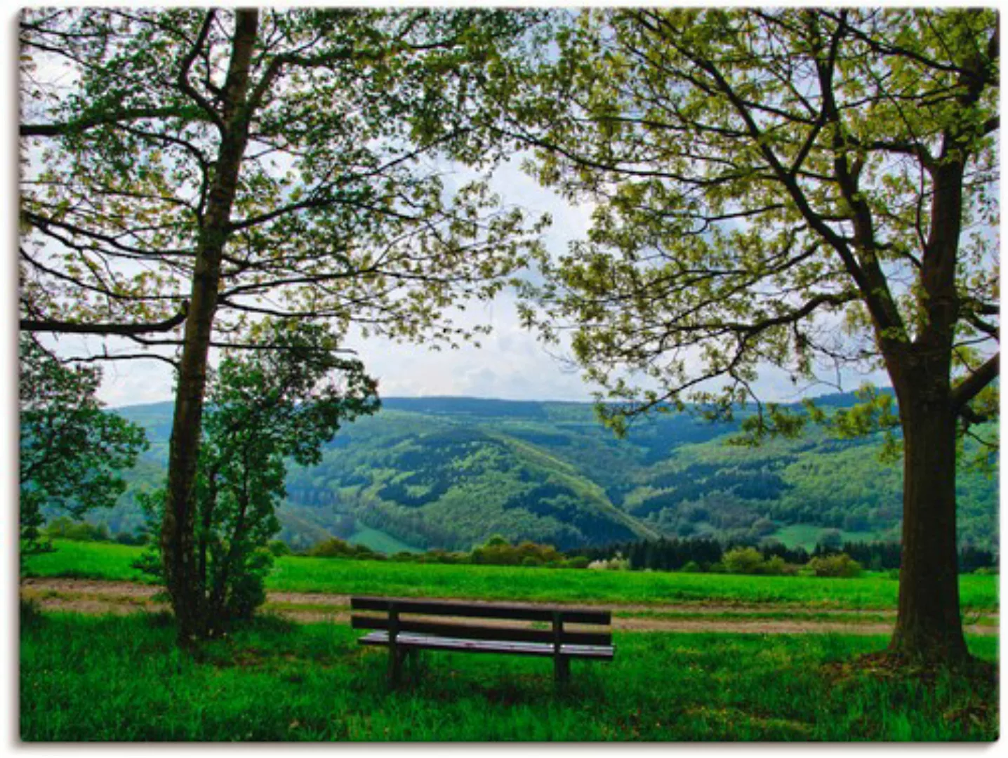 Artland Leinwandbild "Ausblick in den Frühling", Felder, (1 St.), auf Keilr günstig online kaufen