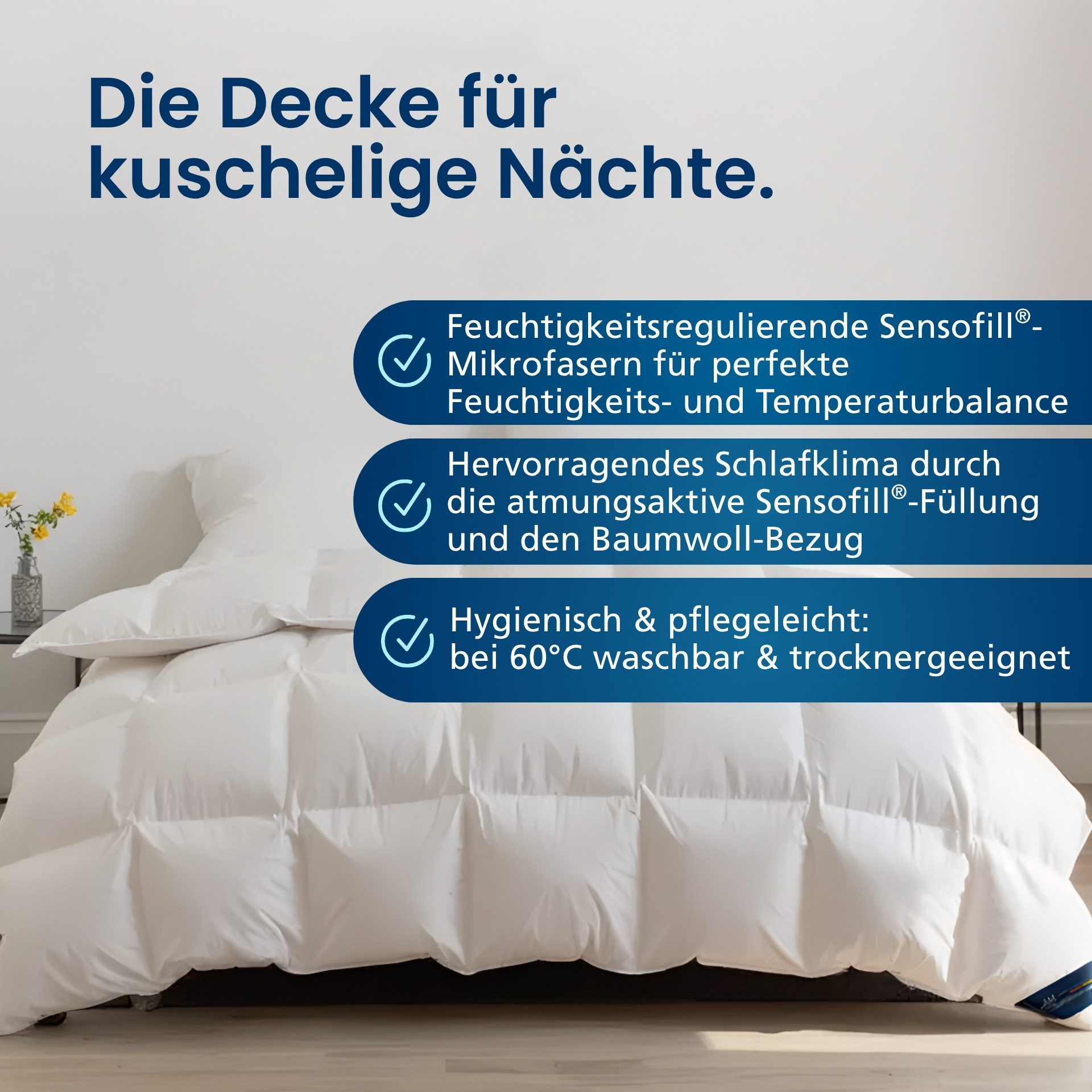DormiGood Microfaserbettdecke 2er Set Weiche Premium günstig online kaufen
