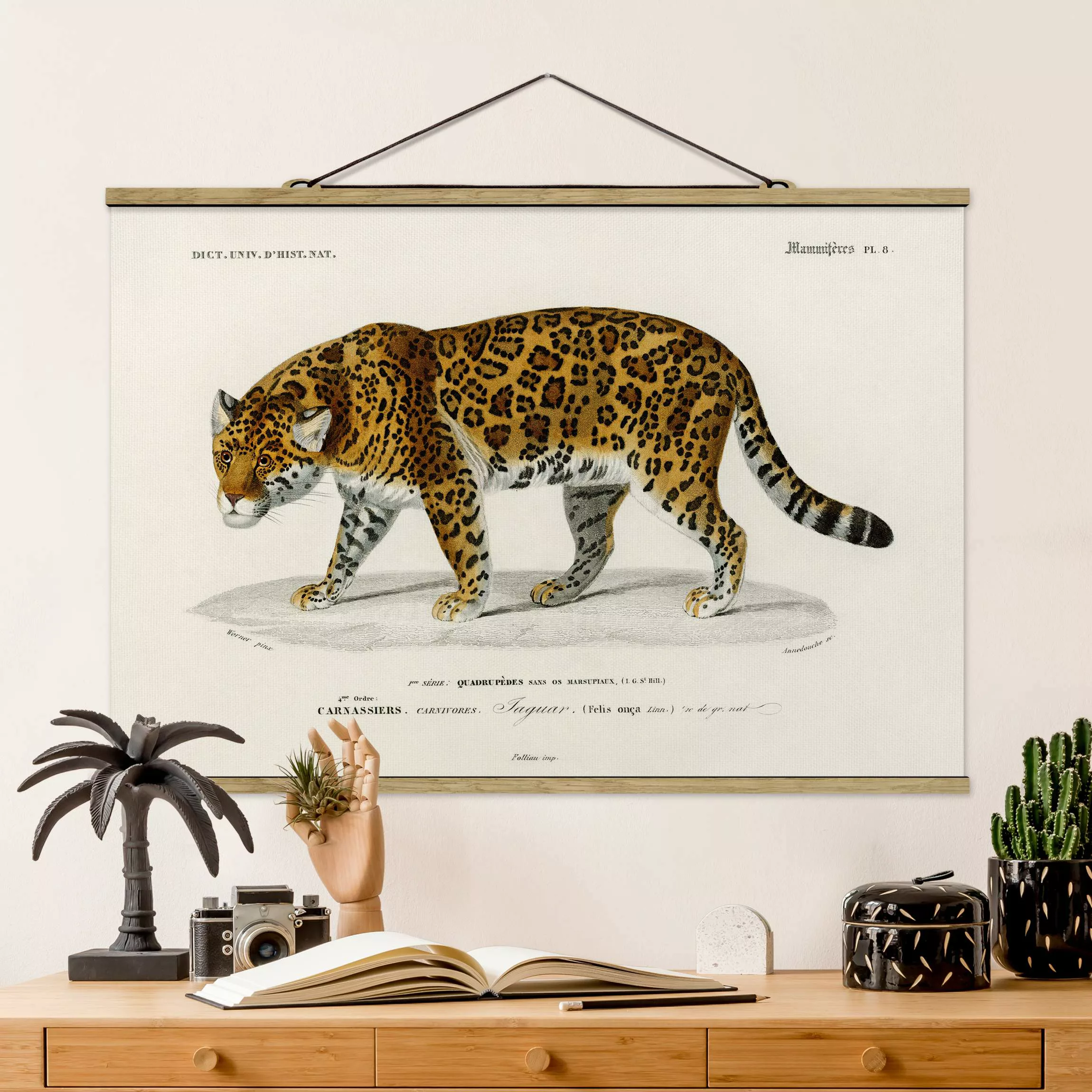 Stoffbild Tiere mit Posterleisten - Querformat Vintage Lehrtafel Jaguar günstig online kaufen