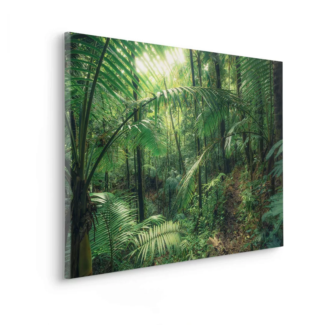 Komar Leinwandbild "Keilrahmenbild - Jungleflair - Größe 90 x 60 cm", Baum- günstig online kaufen