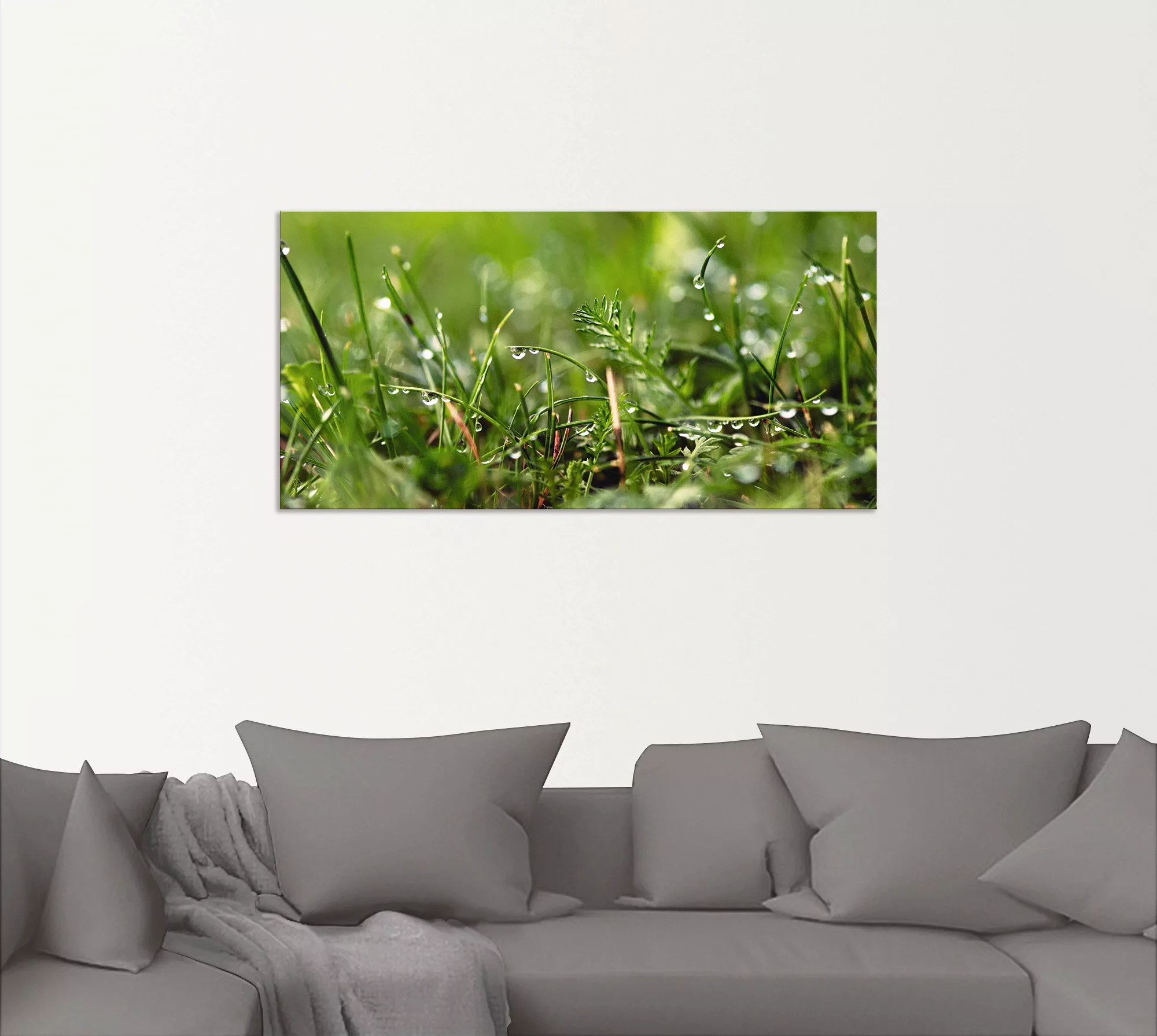 Artland Wandbild "Tautropfen", Gräser, (1 St.), als Alubild, Outdoorbild, L günstig online kaufen