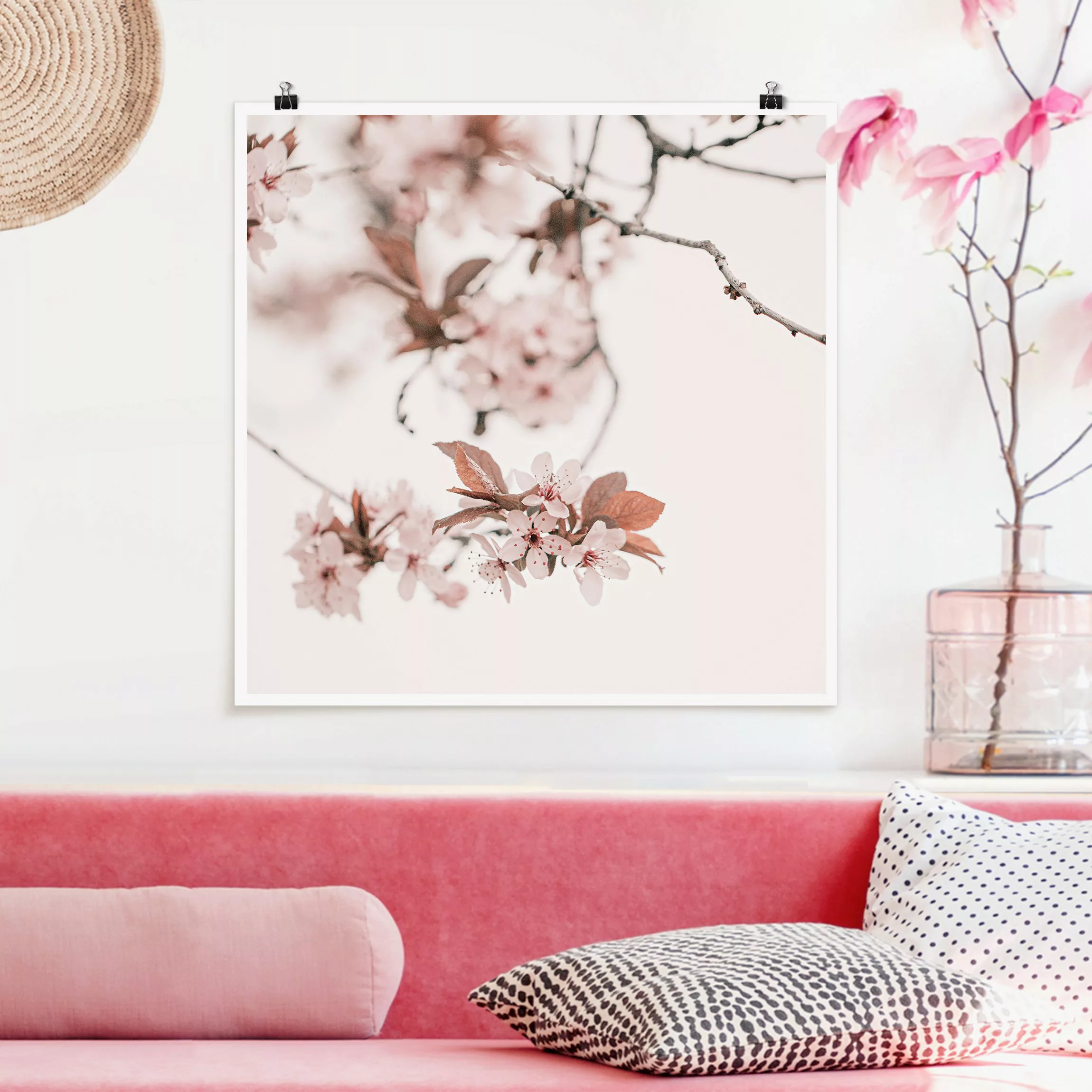 Poster Zarte Kirschblüten am Zweig günstig online kaufen