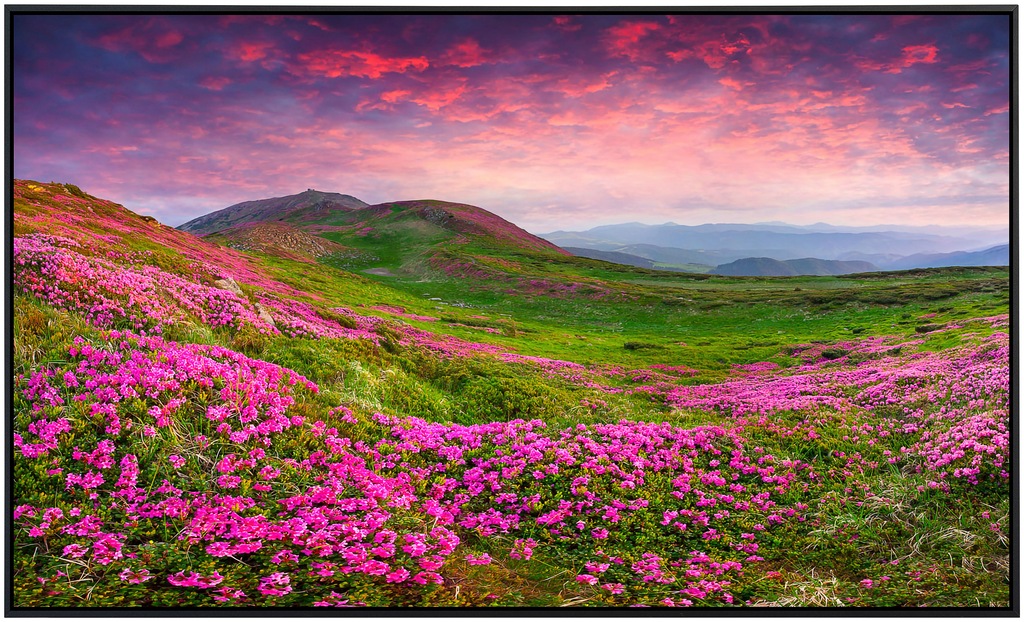 Papermoon Infrarotheizung »Rhododendron Blumen«, sehr angenehme Strahlungsw günstig online kaufen