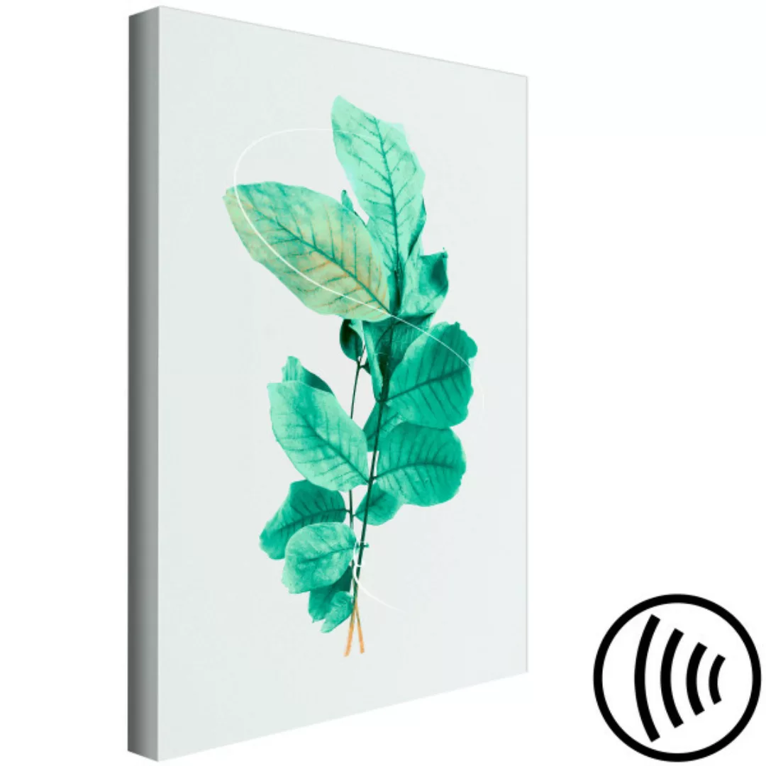 Wandbild Pflanzenkomposition mit Zweig und Pfefferminzblättern XXL günstig online kaufen