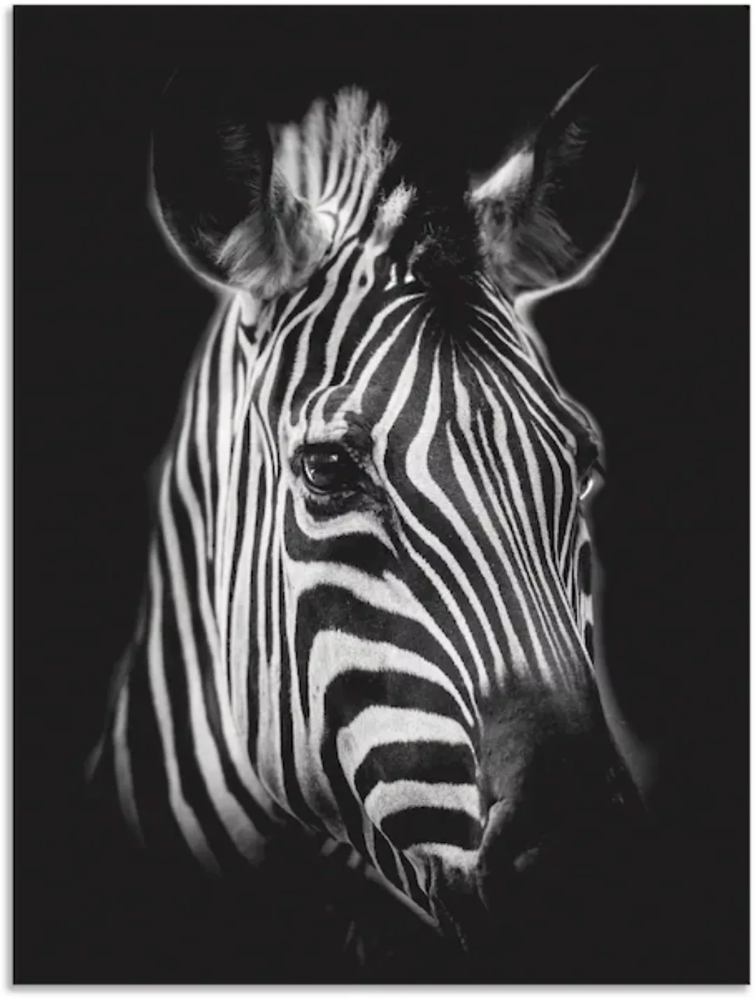 Artland Wandbild »Zebra«, Zebra Bilder, (1 St.), als Alubild, Outdoorbild, günstig online kaufen