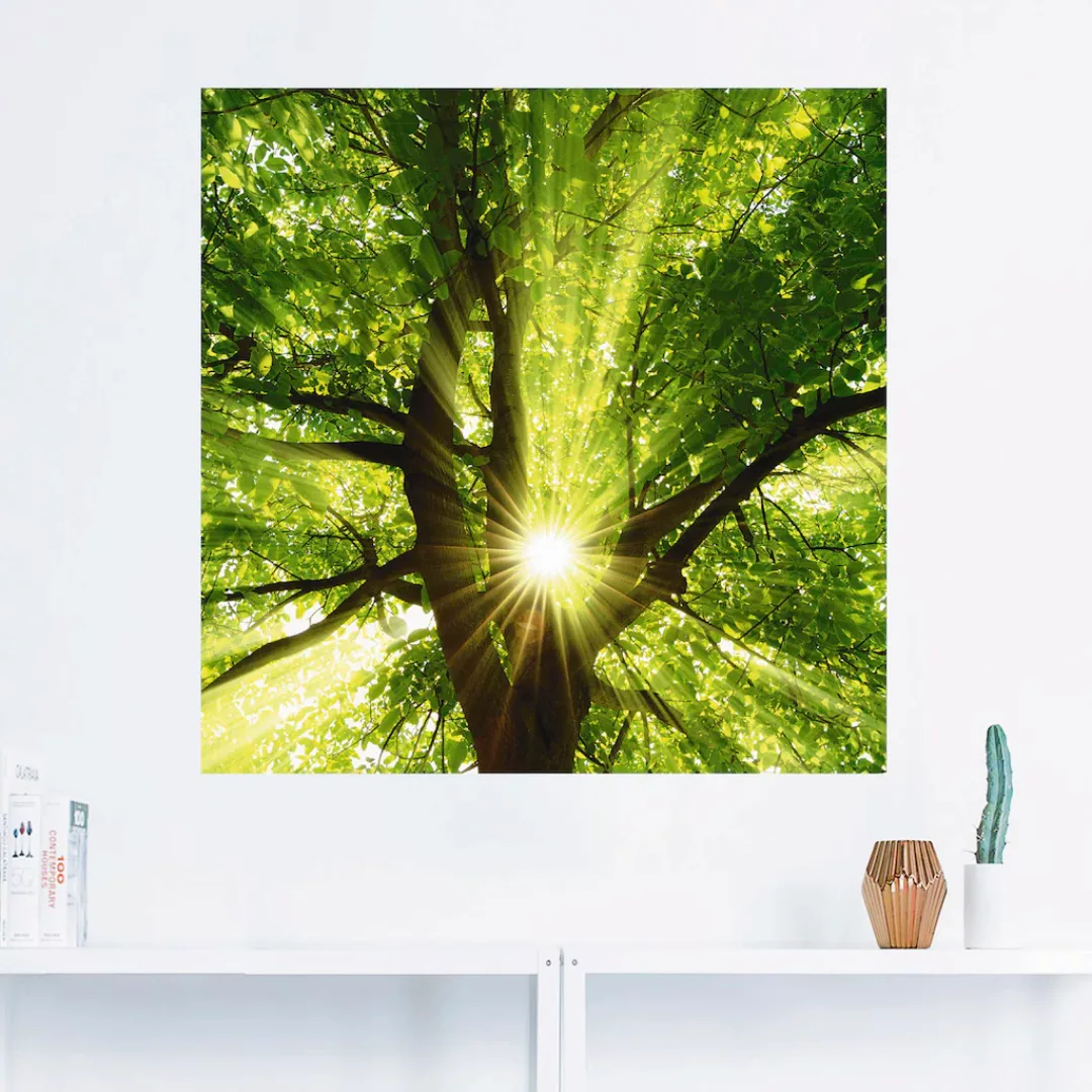Artland Wandbild »Sonne strahlt explosiv durch den Baum«, Bäume, (1 St.) günstig online kaufen