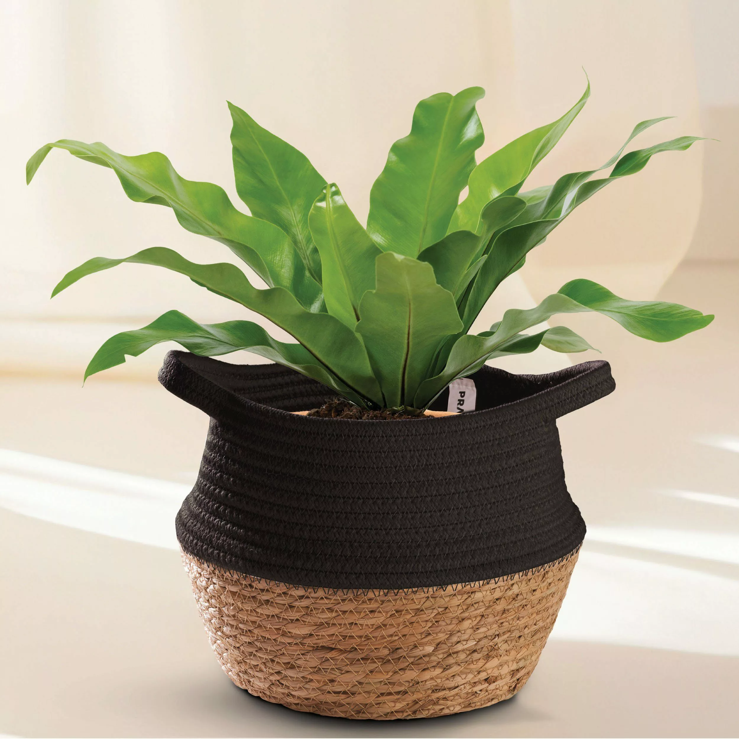 Praknu Aufbewahrungskorb Blumentopf Klein Schwarz S günstig online kaufen
