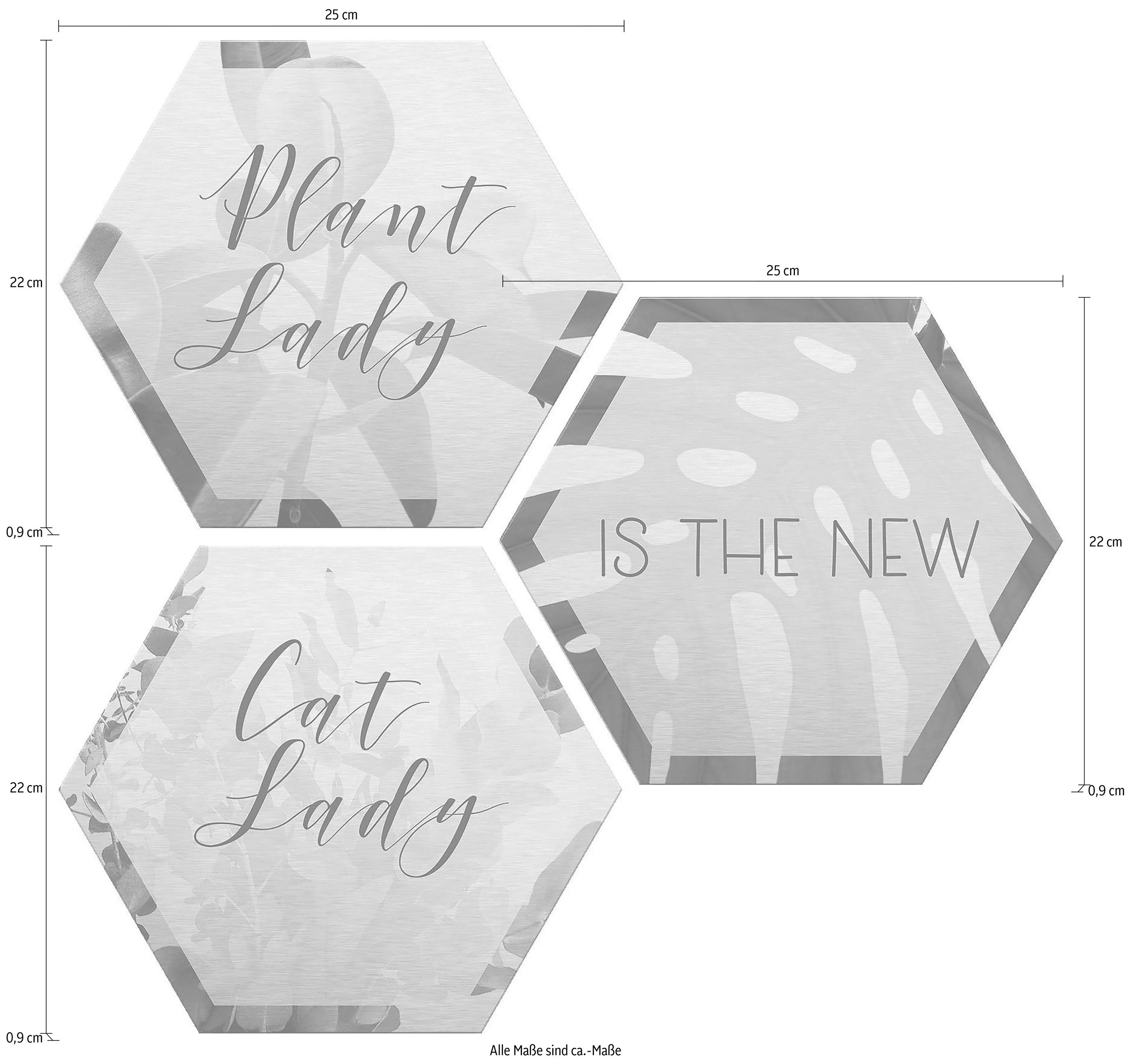 Wall-Art Metallbild »Plantlady is the new Catlady«, (Set) günstig online kaufen