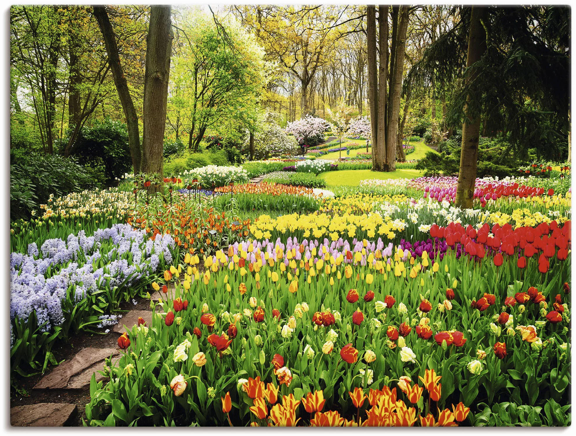 Artland Wandbild »Tulpen Garten Frühling«, Blumenwiese, (1 St.), als Alubil günstig online kaufen