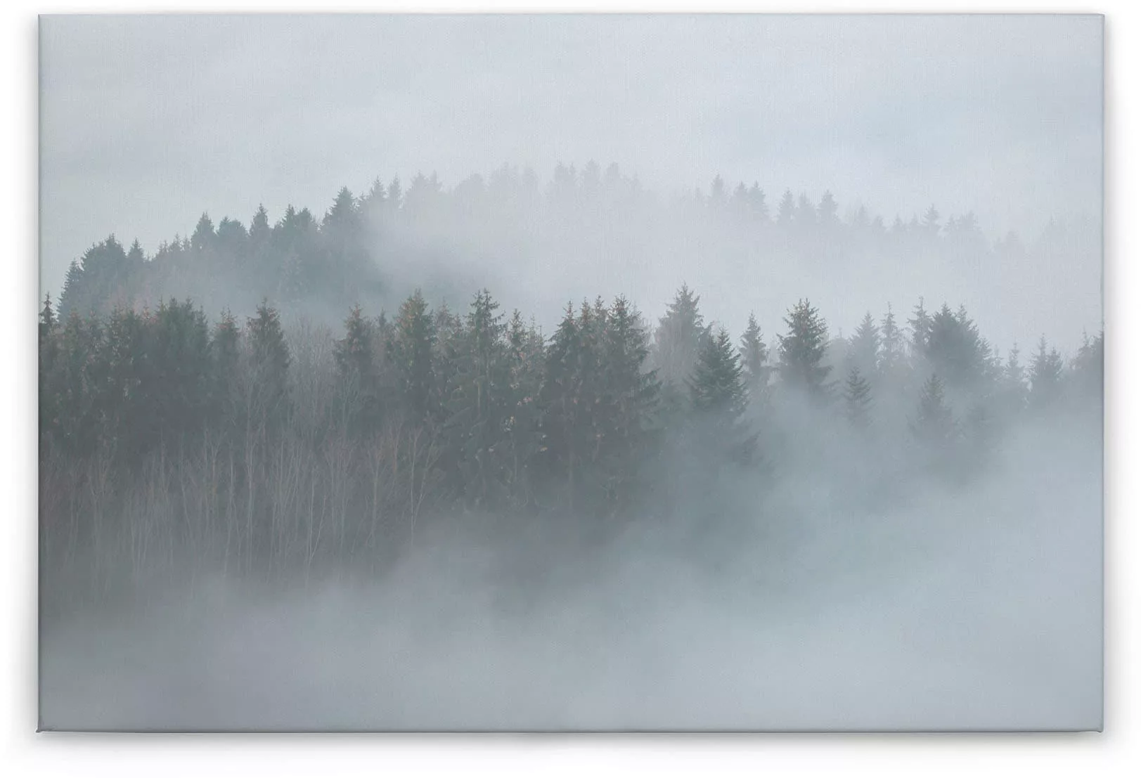 A.S. Création Leinwandbild "Misty Forest", Kunst-Wald-Kinder, (1 St.), Nebe günstig online kaufen