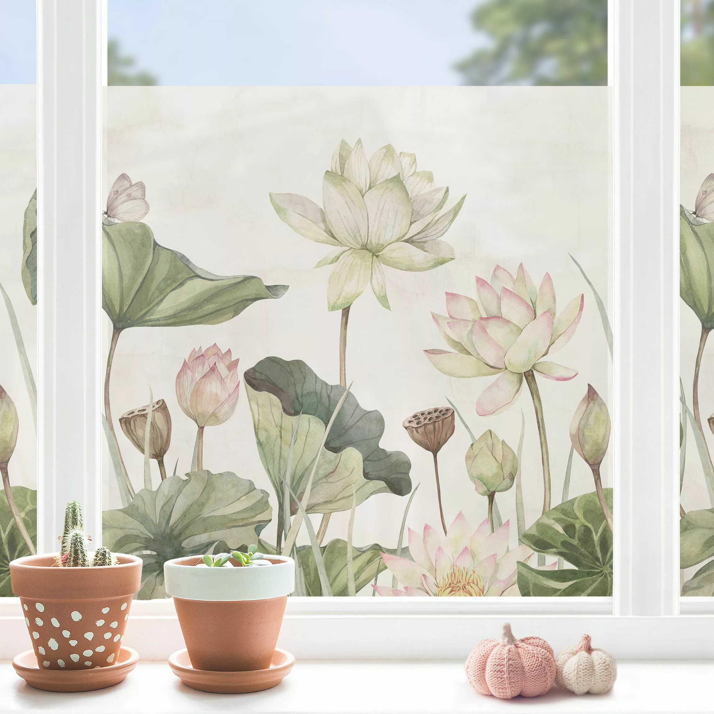 Fensterfolie Anmutige Seerosen und sanfte Blätter günstig online kaufen