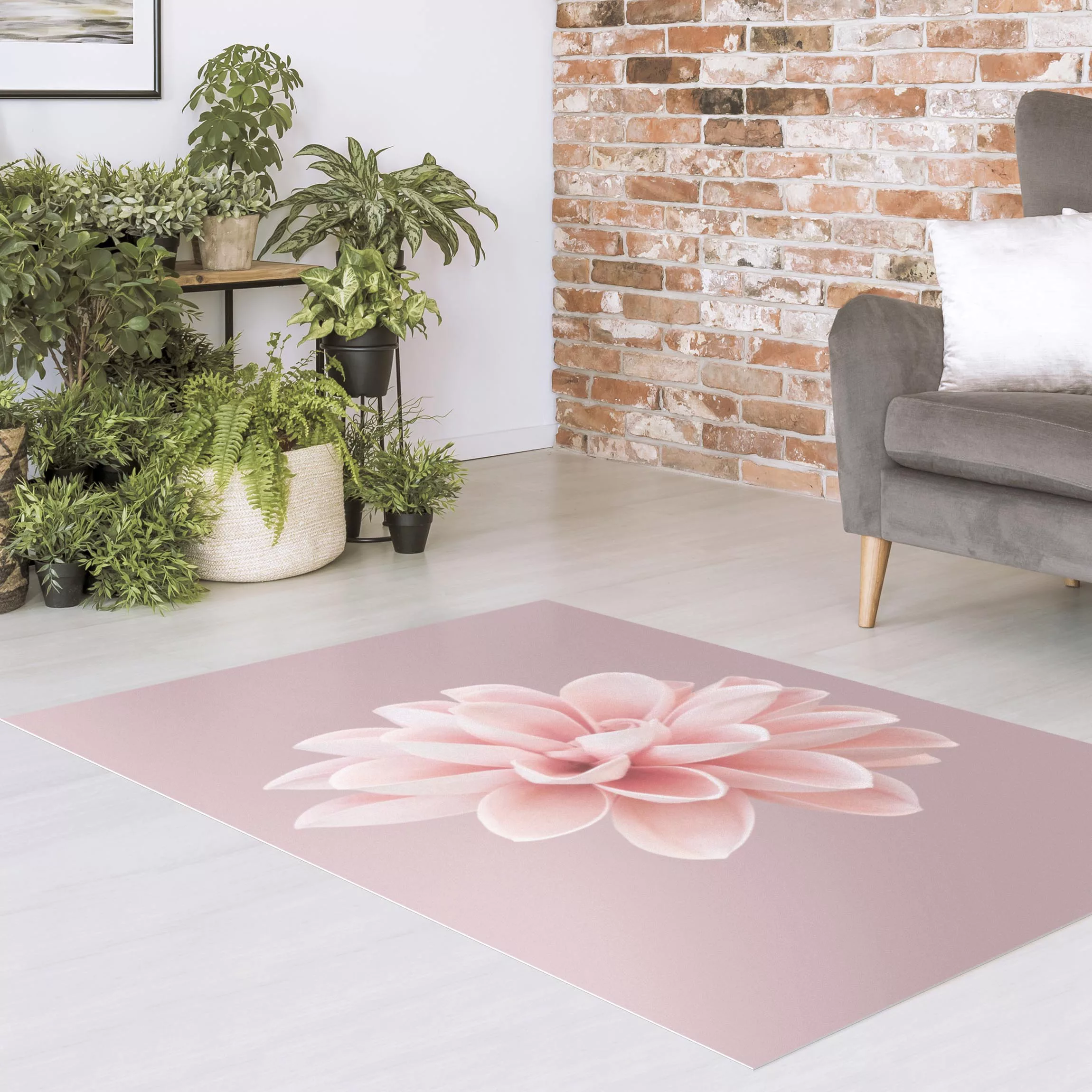 Vinyl-Teppich Dahlie Blume Lavendel Rosa Weiß günstig online kaufen