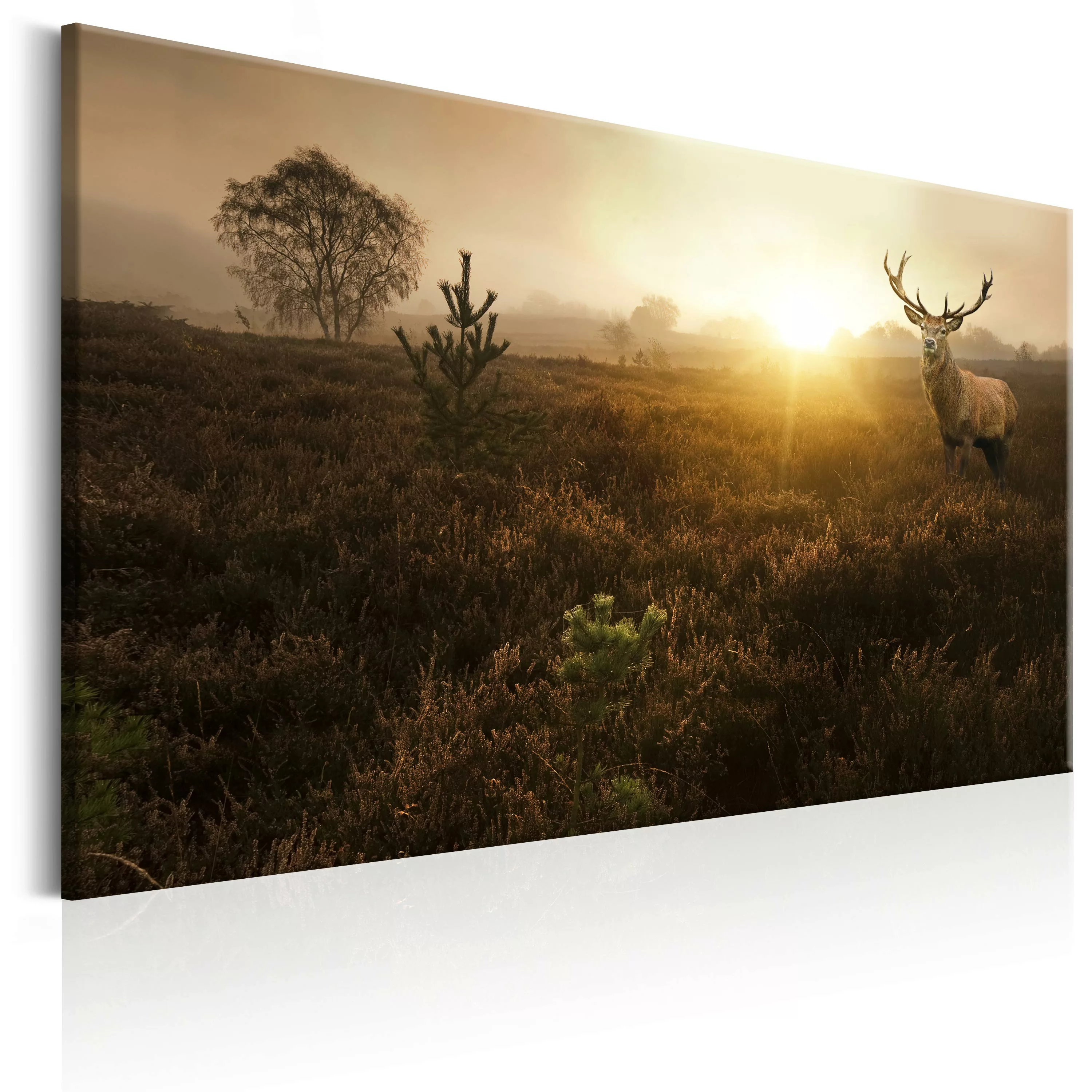 Wandbild - Foggy Field günstig online kaufen