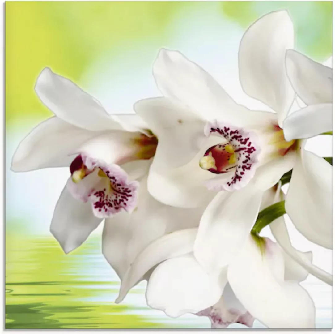 Artland Glasbild »Weiße Orchidee«, Blumen, (1 St.), in verschiedenen Größen günstig online kaufen
