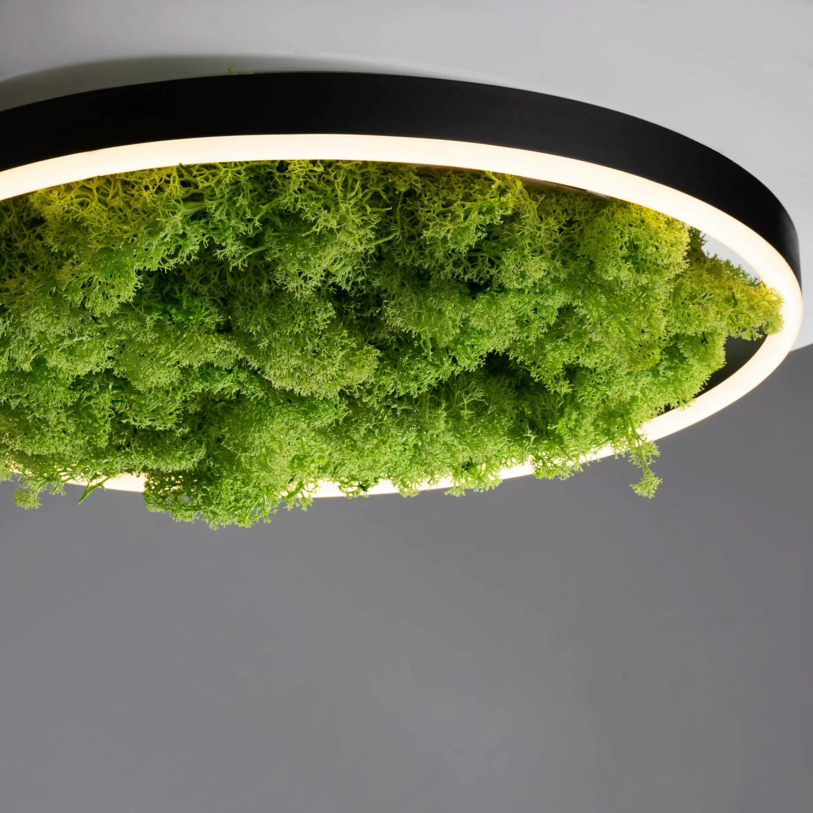 LED-Deckenlampe Green Ritus, Moos dimmbar Ø39,3cm günstig online kaufen