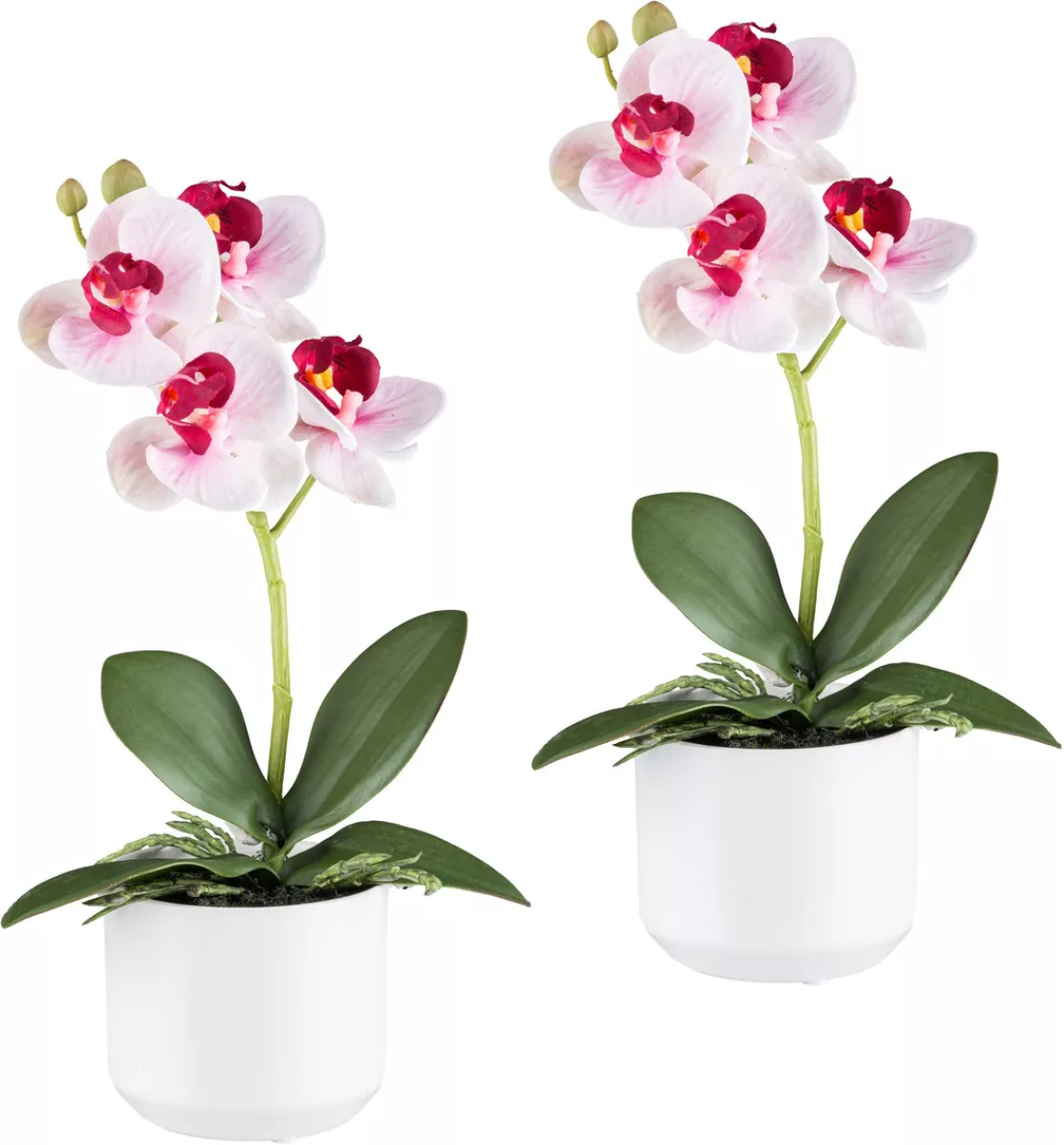 Creativ green Kunstorchidee "Orchidee Phalaenopsis", mit real-touch-Blüten günstig online kaufen