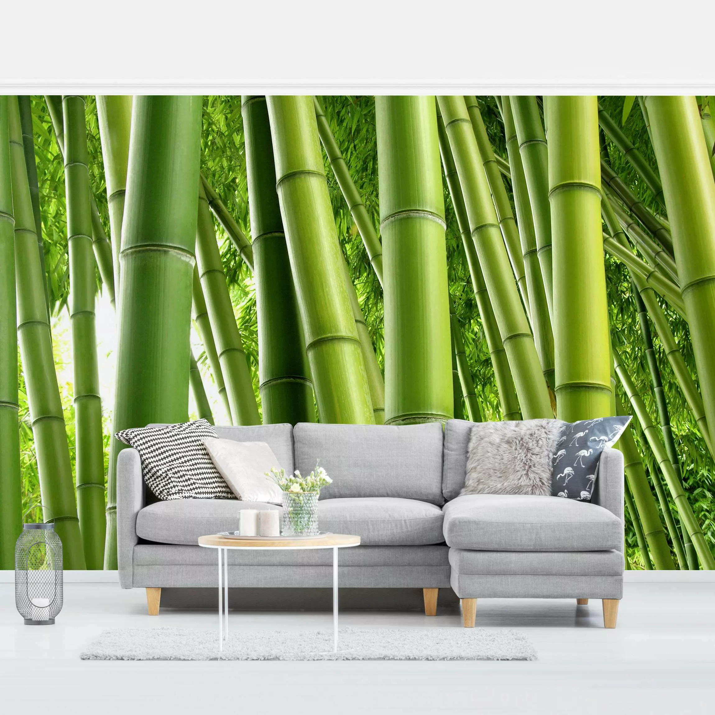 Bilderwelten Fototapete Bamboo Trees grün Gr. 192 x 192 günstig online kaufen