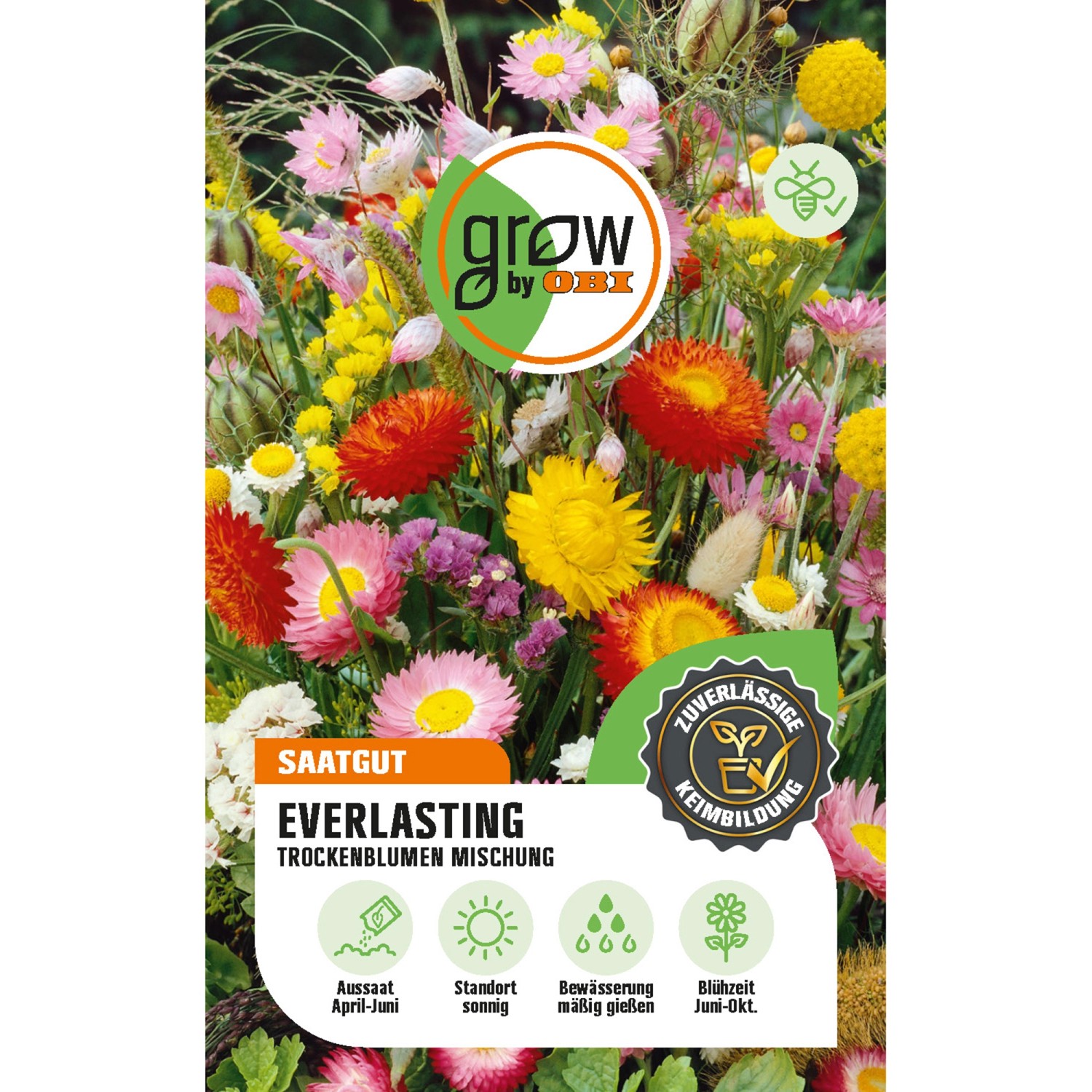 GROW by OBI Everlasting Trockenblumen Mehrfarbig Höhe ca. 90 cm günstig online kaufen