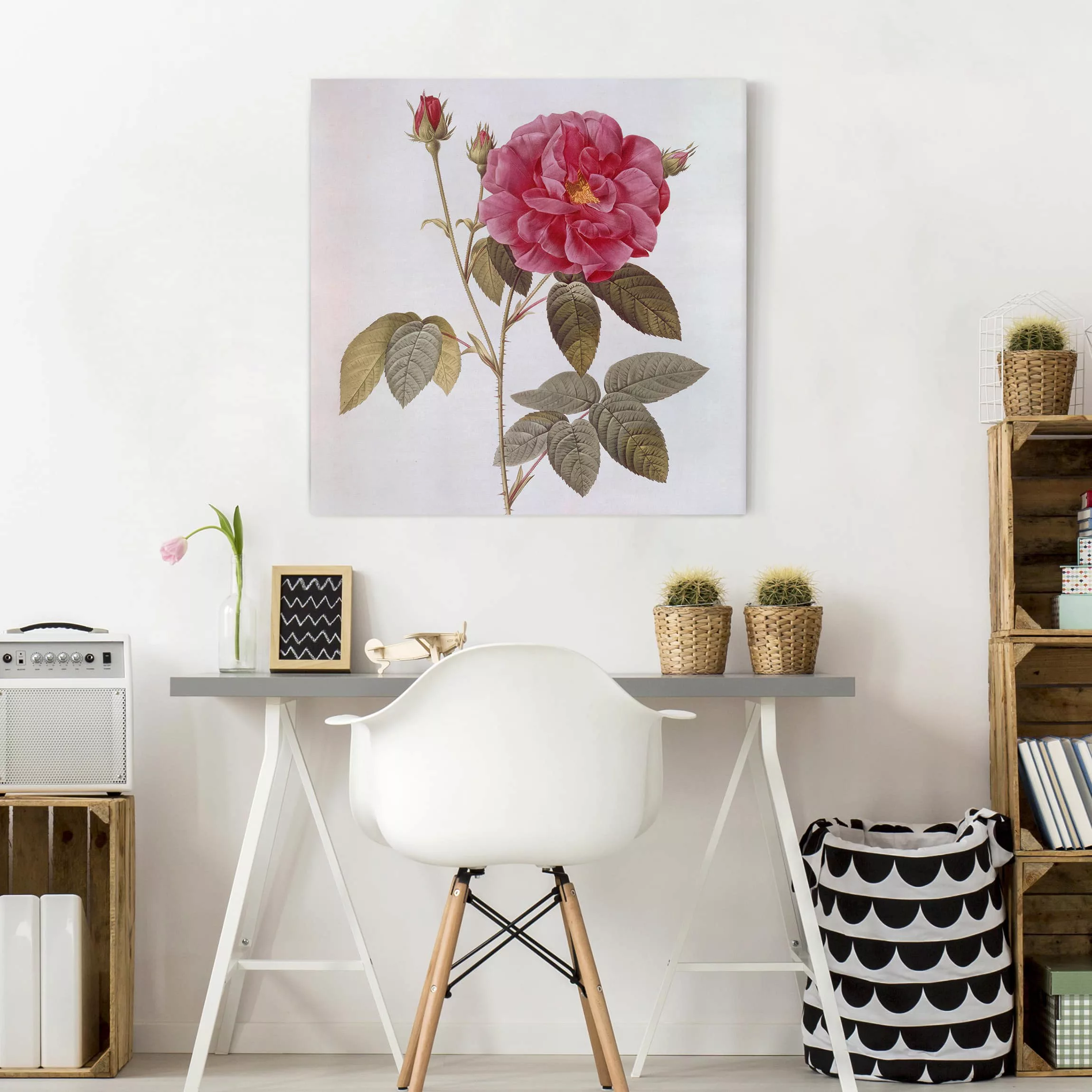 Leinwandbild Blumen - Quadrat Pierre Joseph Redouté - Apothekerrose günstig online kaufen