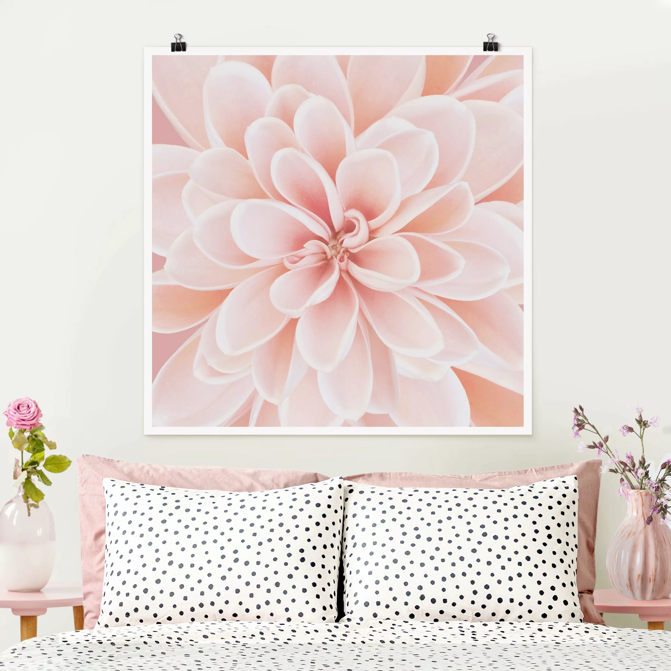 Poster Fotografie Dahlie in Pastellrosa günstig online kaufen