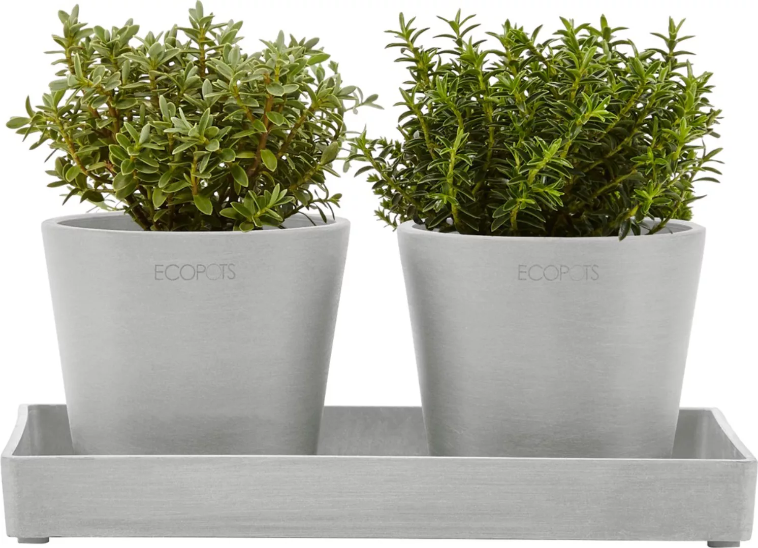 Ecopots Untersetzer Eckig Weißgrau 25 cm x 10 cm x 2,5 cm günstig online kaufen