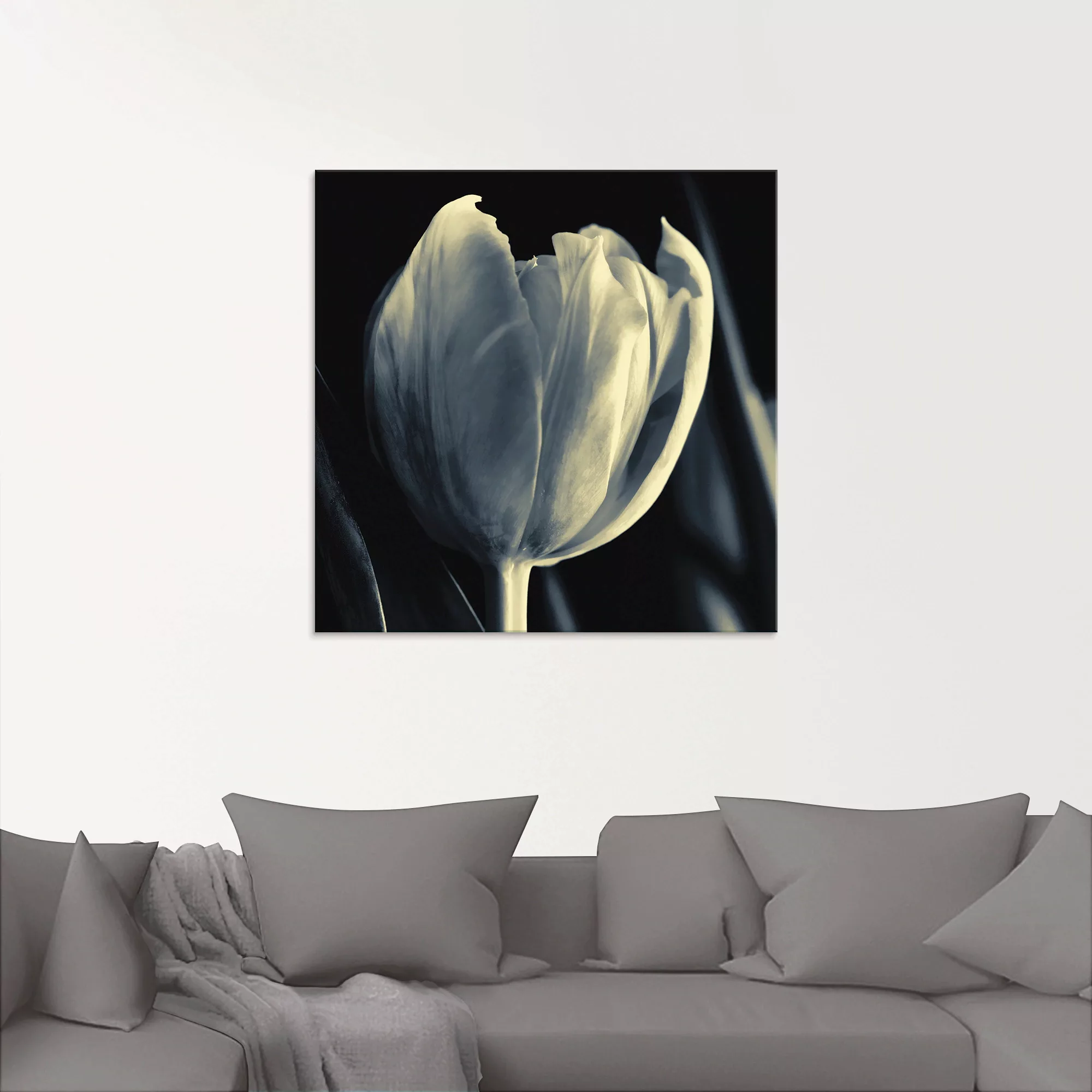 Artland Glasbild »Tulpe«, Blumen, (1 St.), in verschiedenen Größen günstig online kaufen