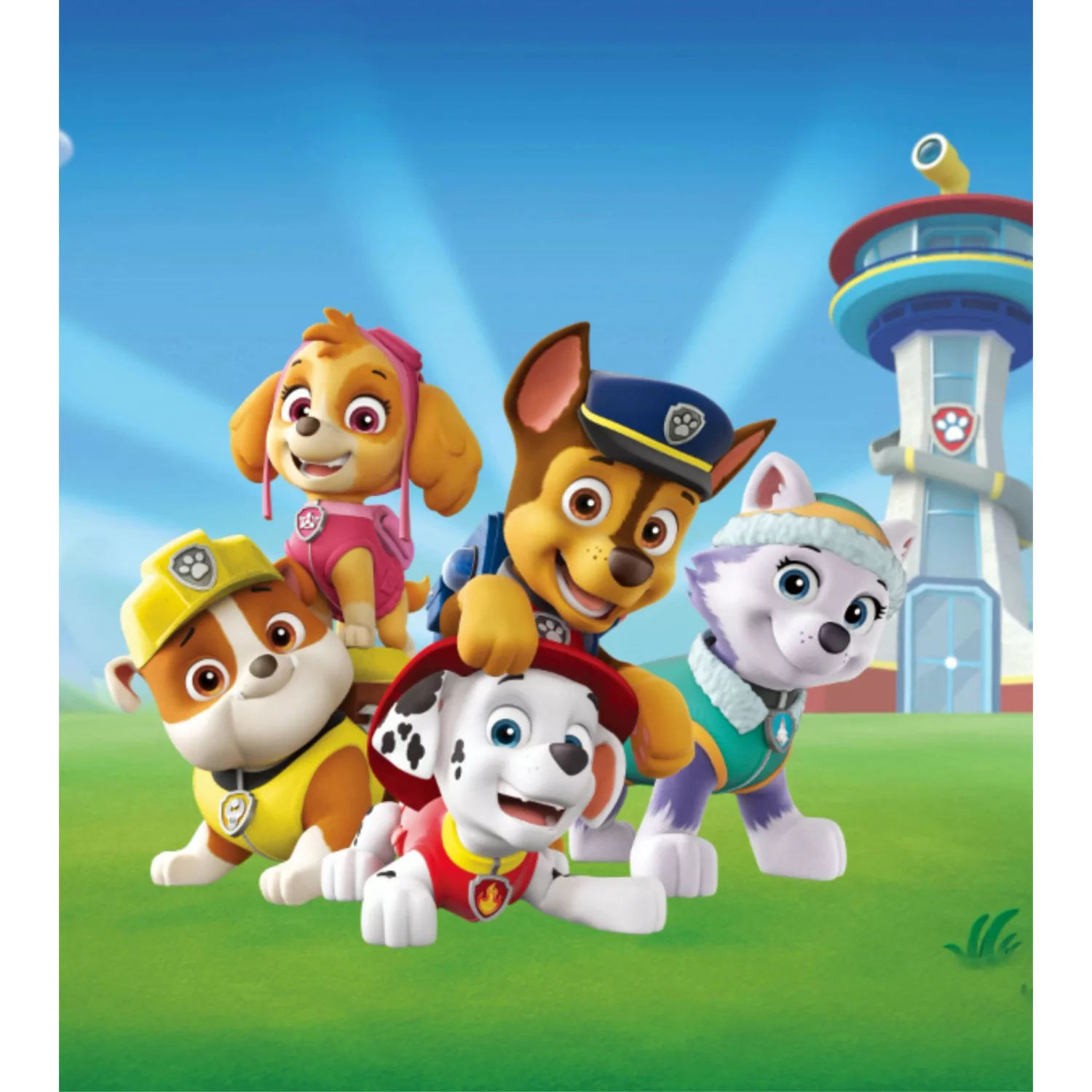 Sanders & Sanders Fototapete Paw Patrol Blau und Grün 180 x 202 cm 600628 günstig online kaufen