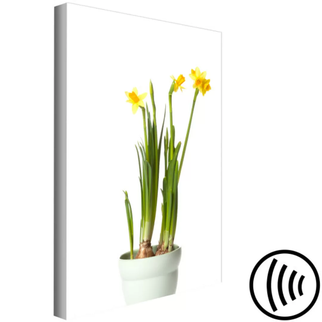 Leinwandbild Narcissus (1 Part) Vertical XXL günstig online kaufen