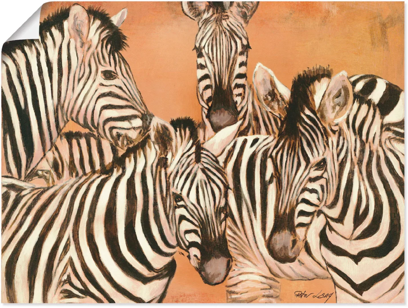 Artland Wandbild »Zebras«, Wildtiere, (1 St.), als Leinwandbild, Poster in günstig online kaufen