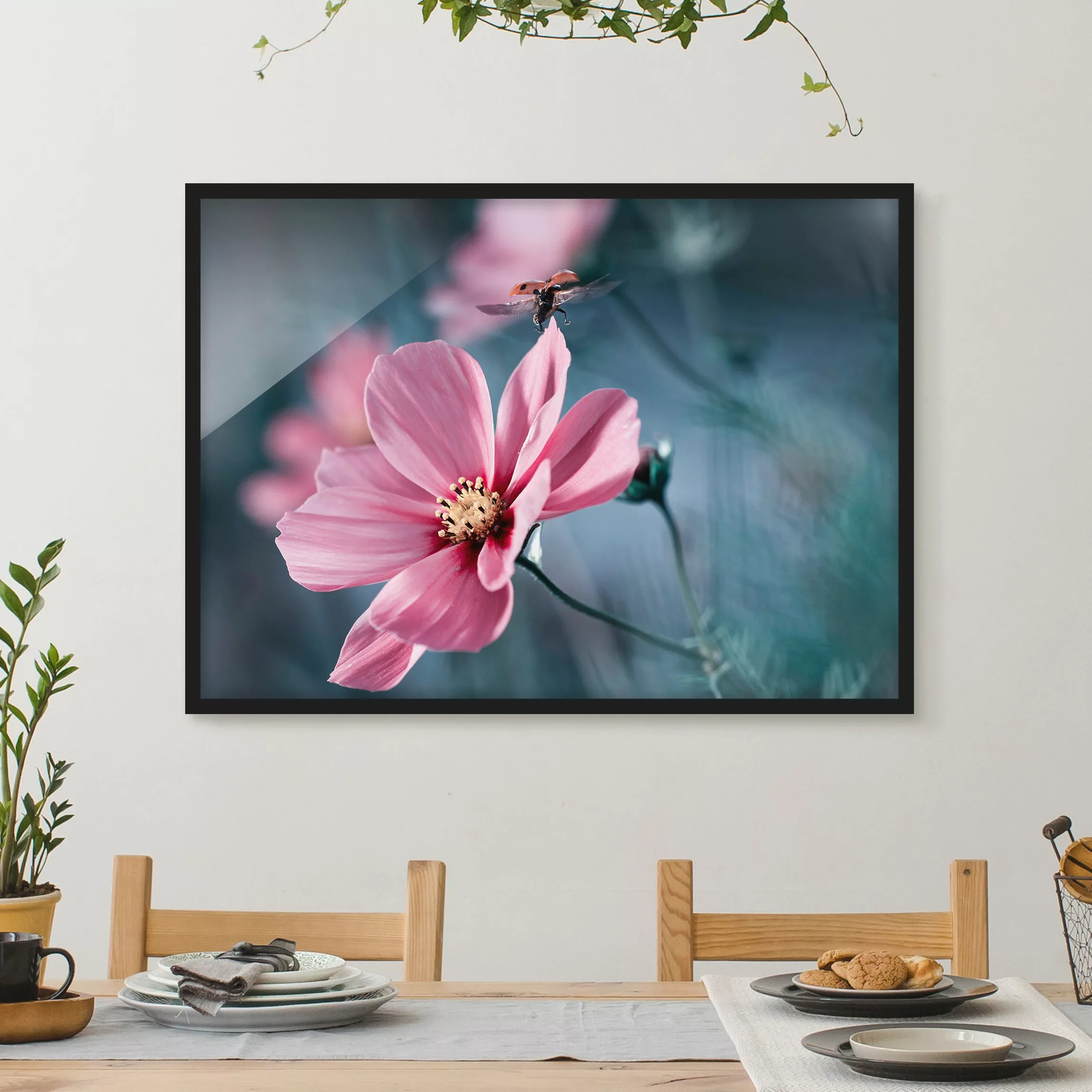 Bild mit Rahmen Blumen - Querformat Marienkäfer beim Start günstig online kaufen