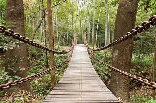 Papermoon Fototapete »Suspension Bridge« günstig online kaufen