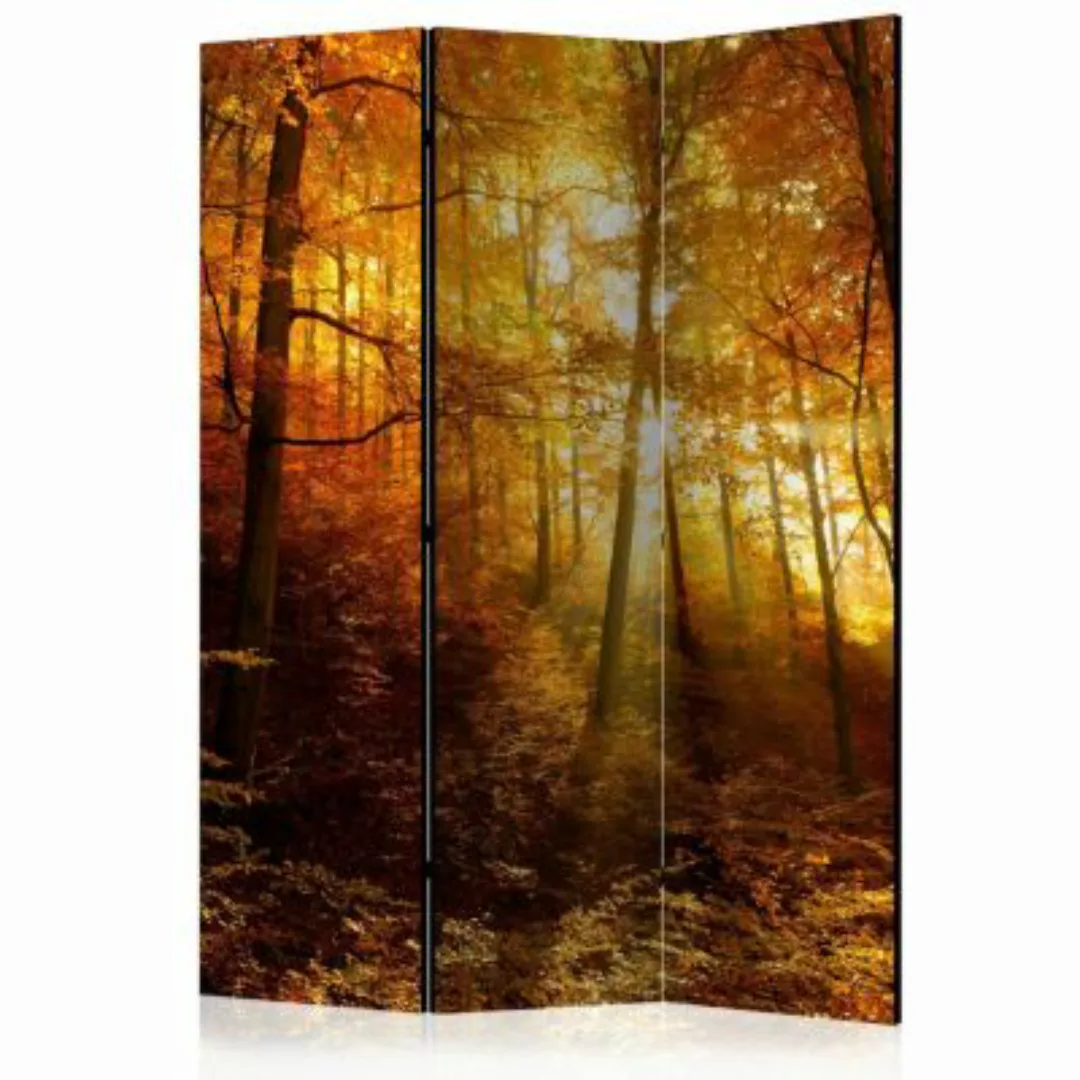 artgeist Paravent Autumn Illumination [Room Dividers] mehrfarbig Gr. 135 x günstig online kaufen