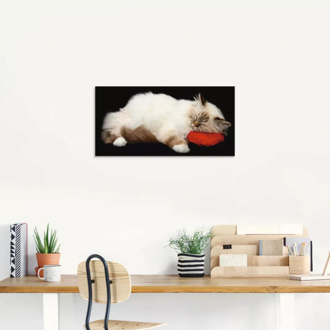 Artland Glasbild »Müde Katze«, Haustiere, (1 St.), in verschiedenen Größen günstig online kaufen