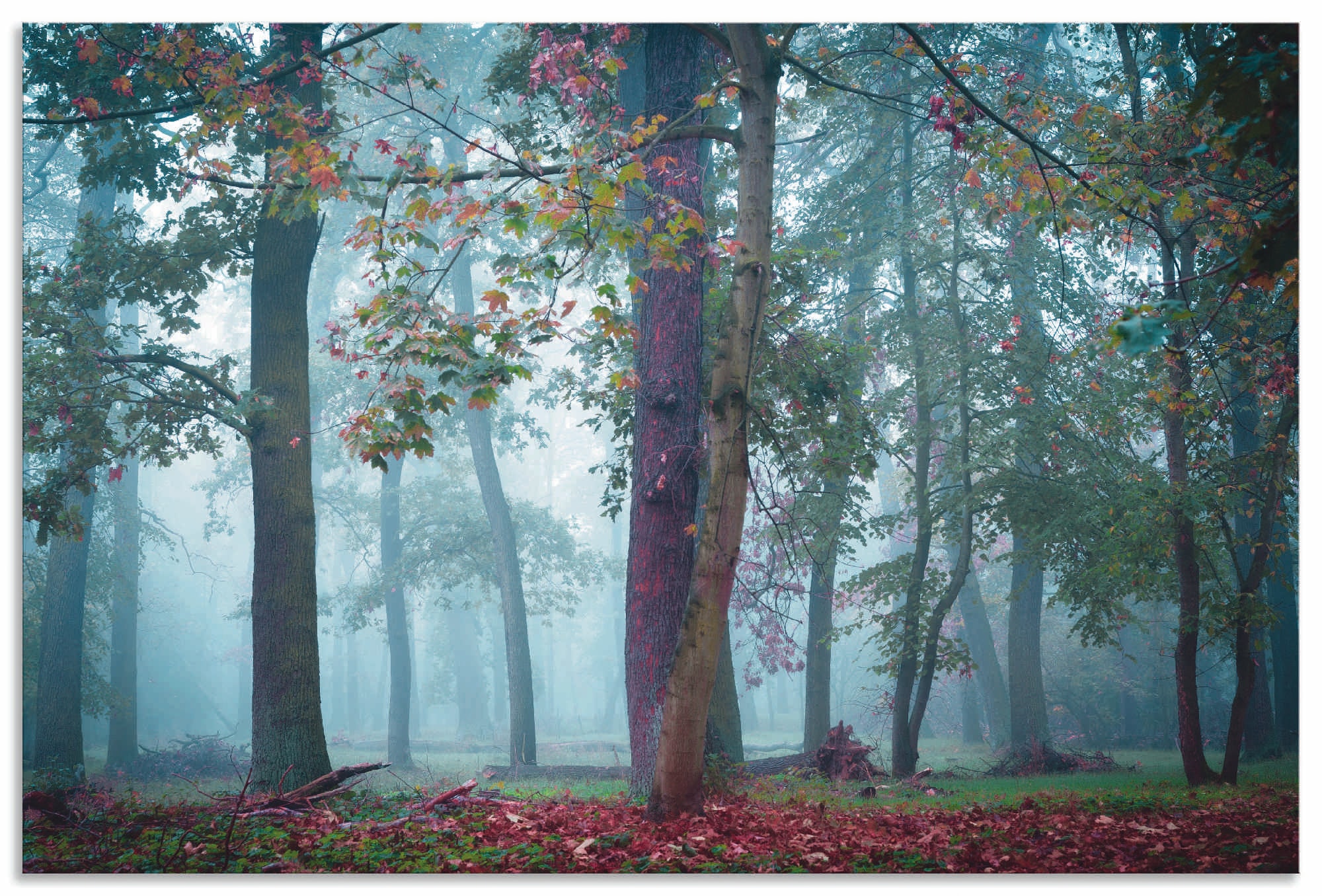 Artland Wandbild »Nebel im Wald«, Waldbilder, (1 St.), als Alubild, Outdoor günstig online kaufen