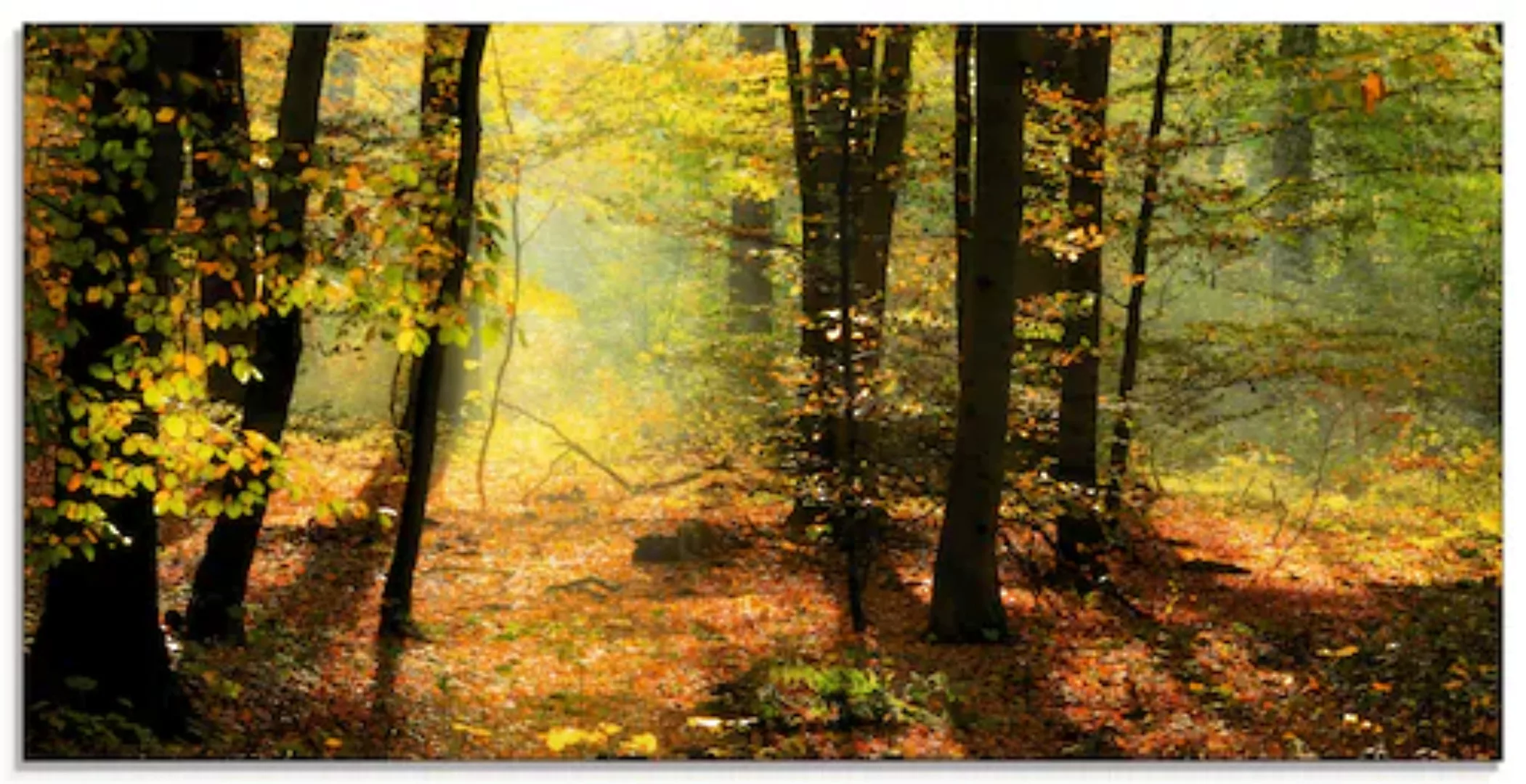 Artland Glasbild "Herbstlicht im Wald", Wald, (1 St.), in verschiedenen Grö günstig online kaufen