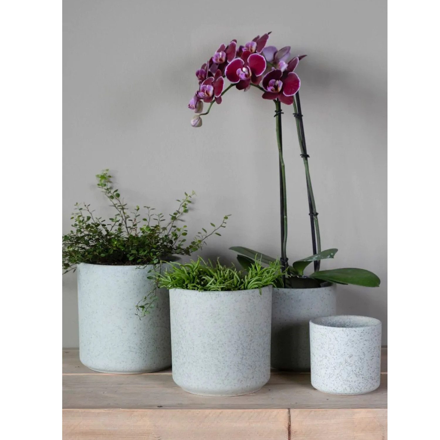 Hakbijl Glass Blumentopf Keramiktöpfe günstig online kaufen