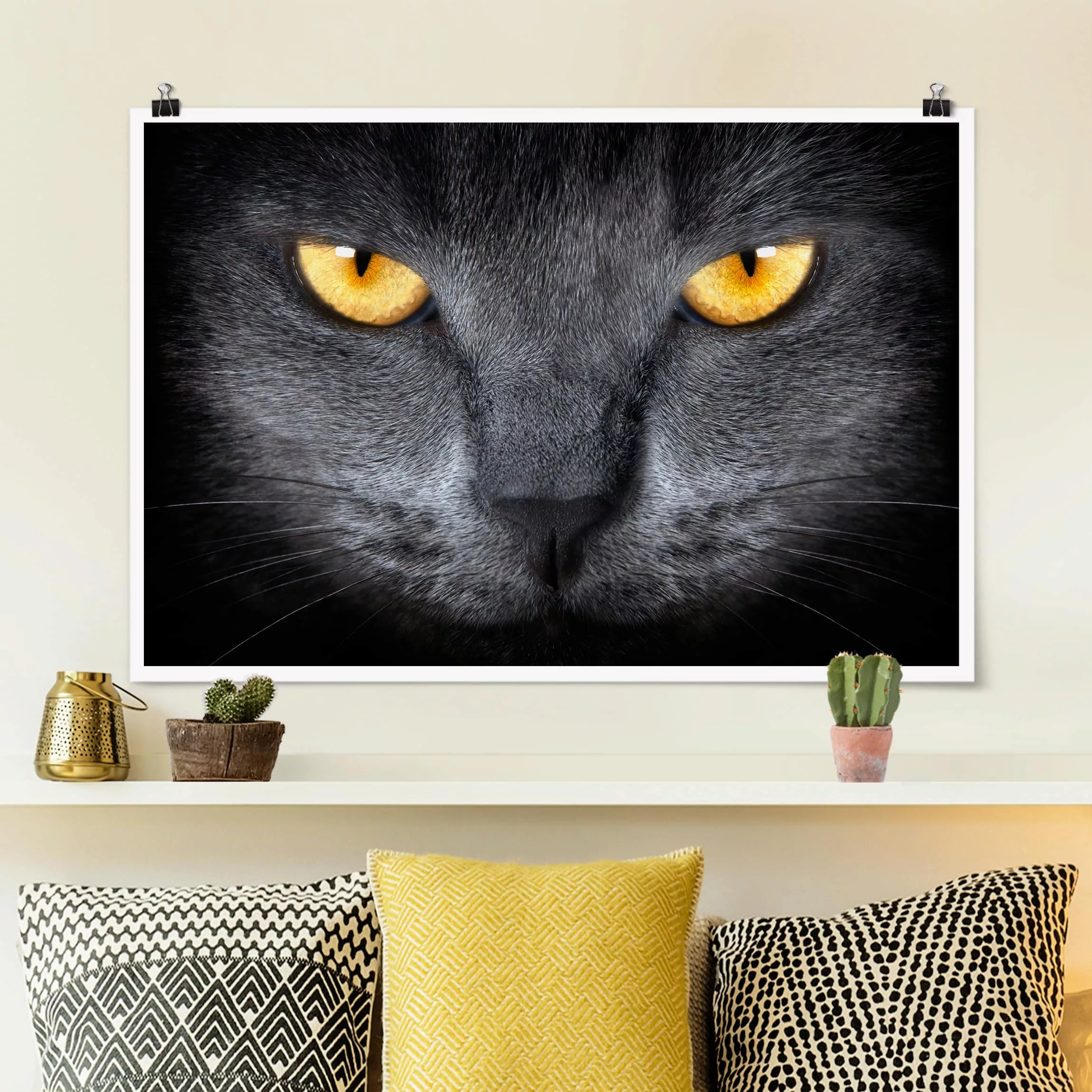 Poster Tiere - Querformat Cats Gaze günstig online kaufen