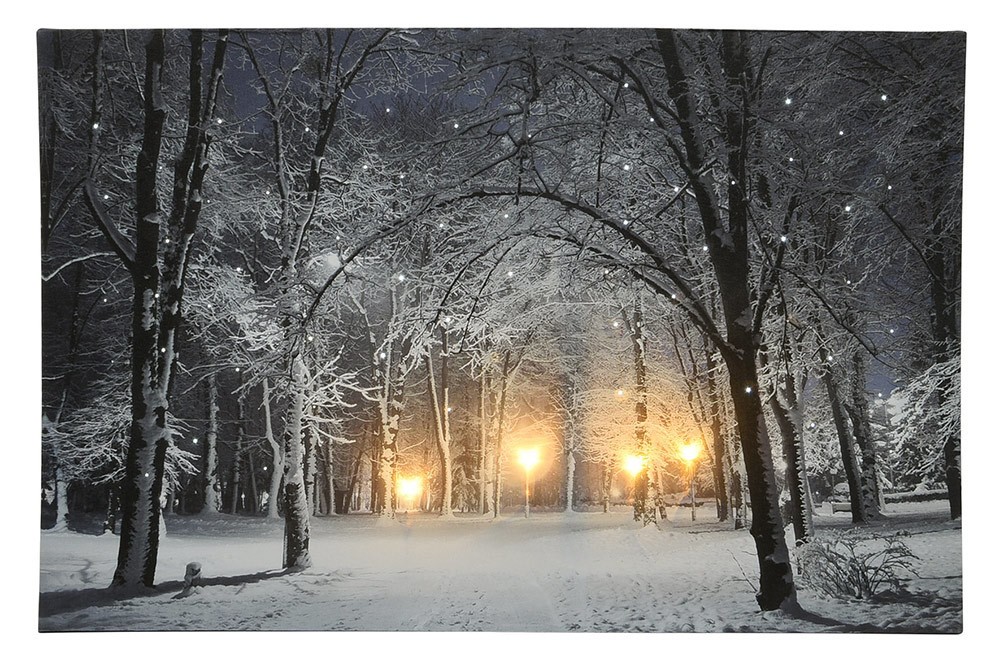 LED Bild Schneelandschaft Park Weihnachten Winterlandschaft Beleuchtet 38x5 günstig online kaufen