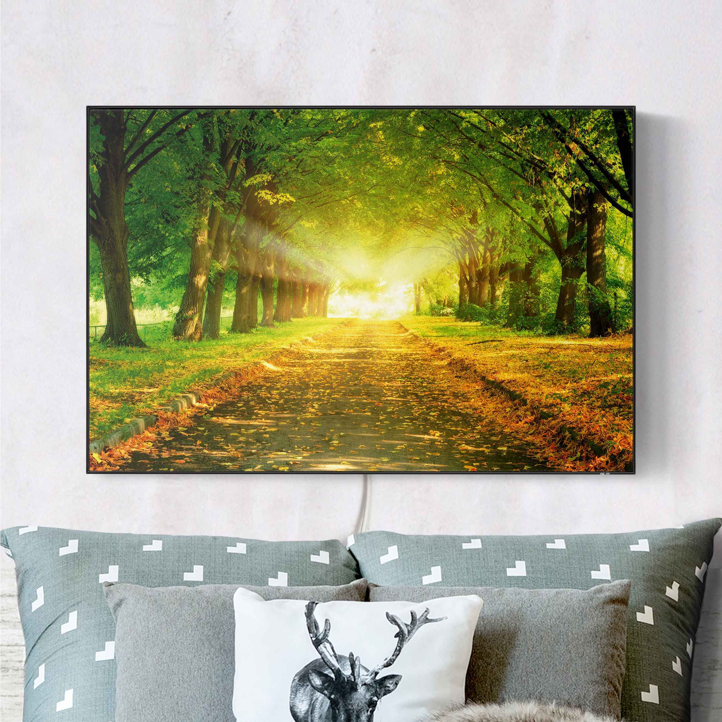 LED-Wechselbild Autumn Avenue günstig online kaufen