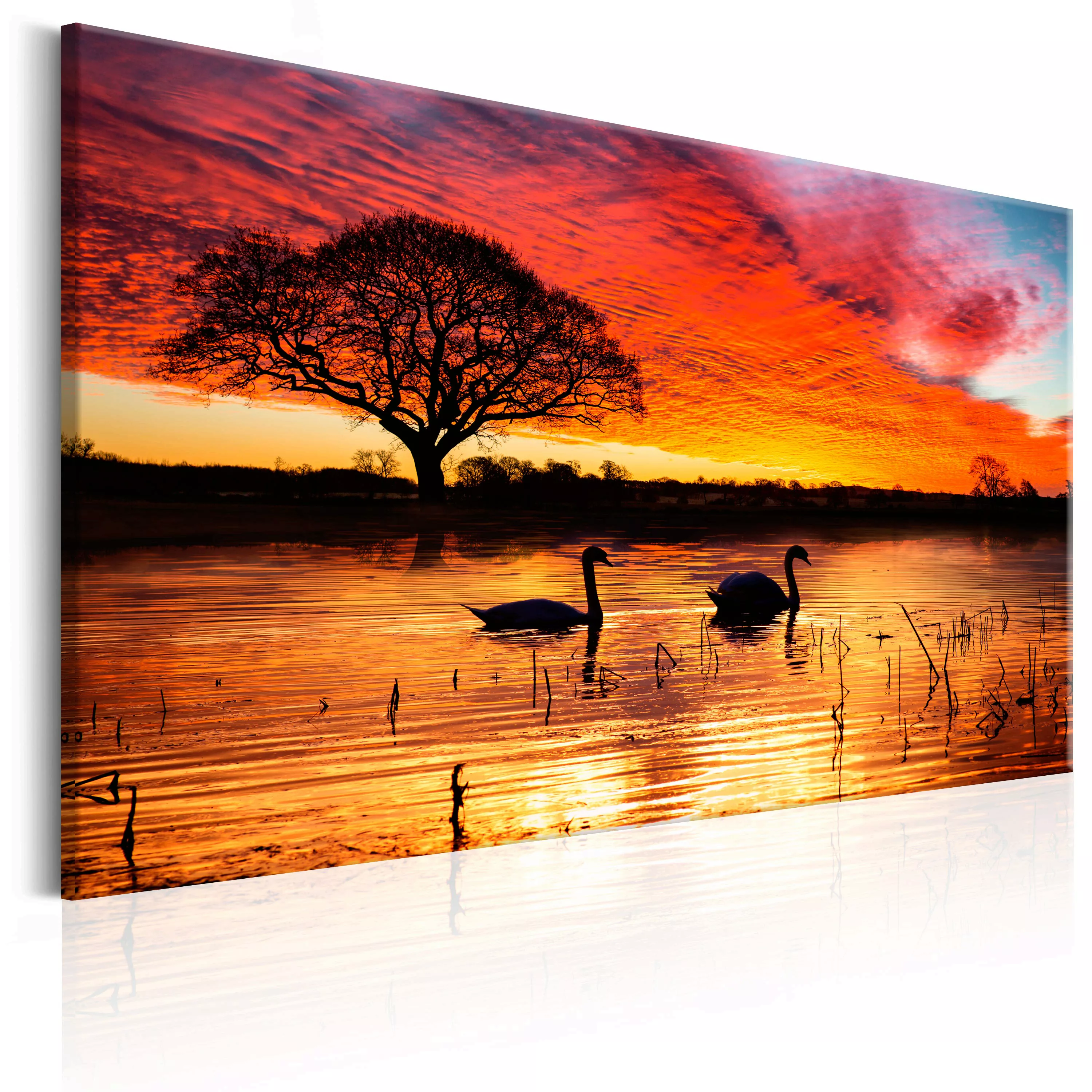 Wandbild - Swan Lake günstig online kaufen