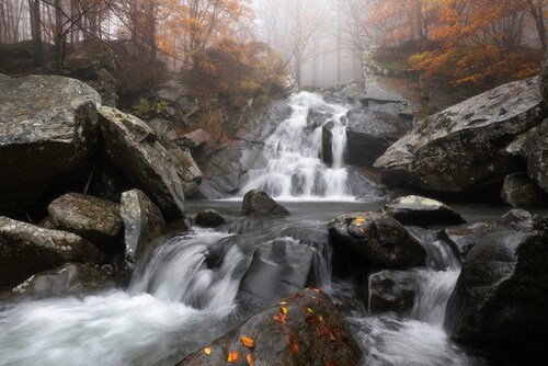 Papermoon Fototapete »Photo-Art FRANCESCO TAVANI, HERBSTNEBEL« günstig online kaufen